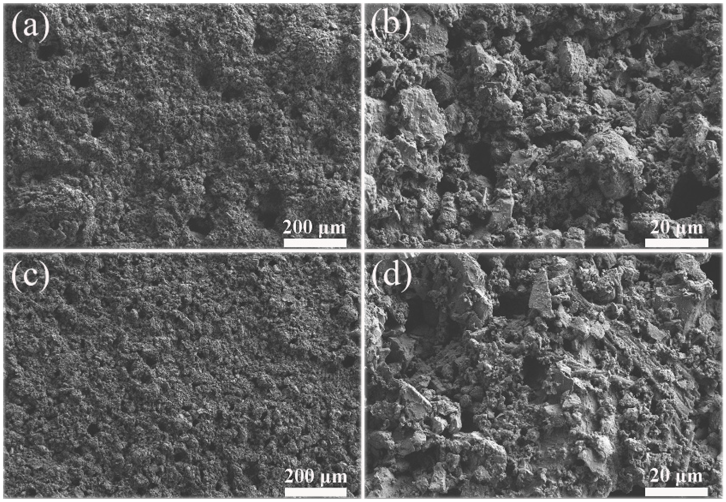 Materials 13 03431 g007 Materials 13 03431 g007