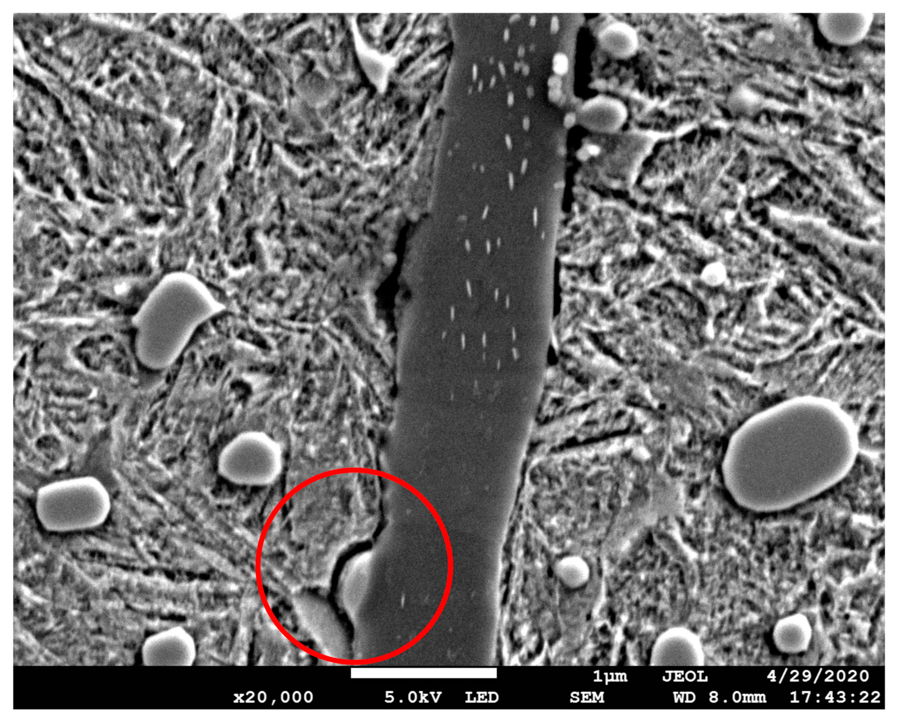 Materials 13 03443 g013 Materials 13 03443 g013