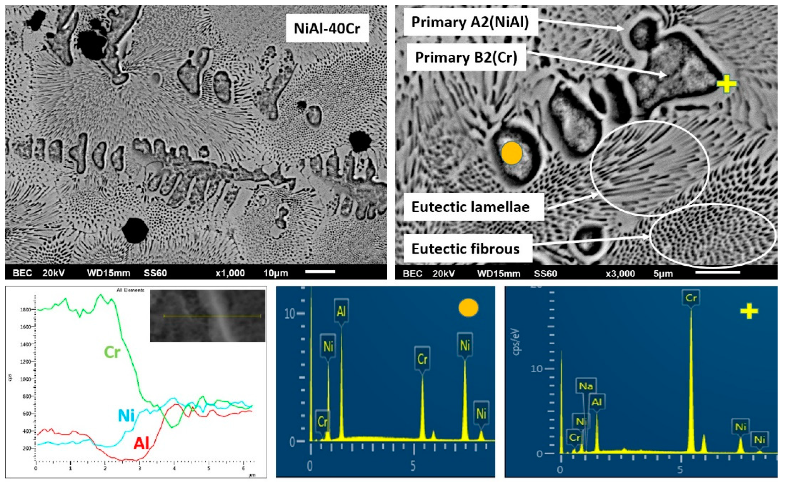 Materials 13 03445 g004 Materials 13 03445 g004