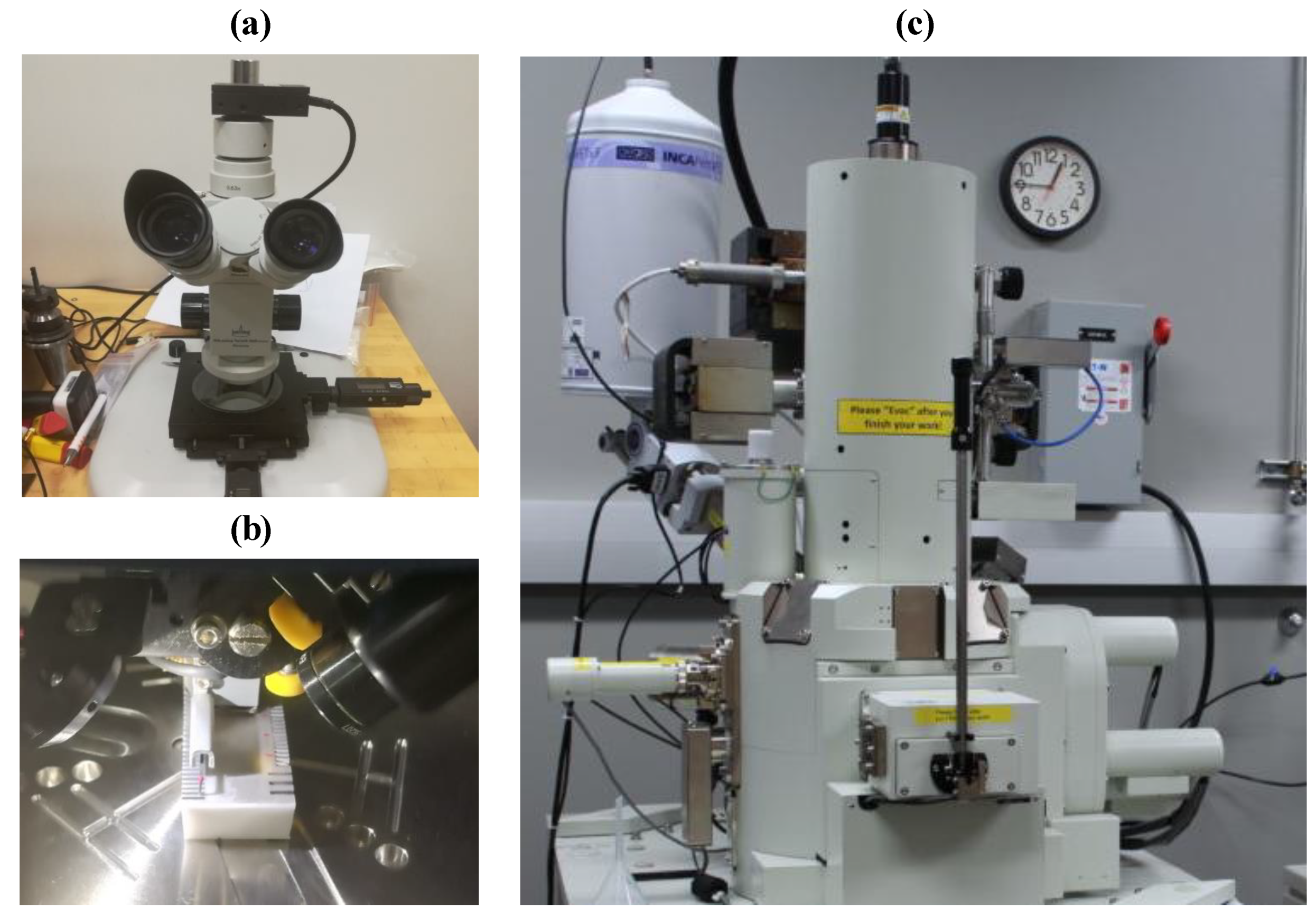 Materials 13 03505 g007