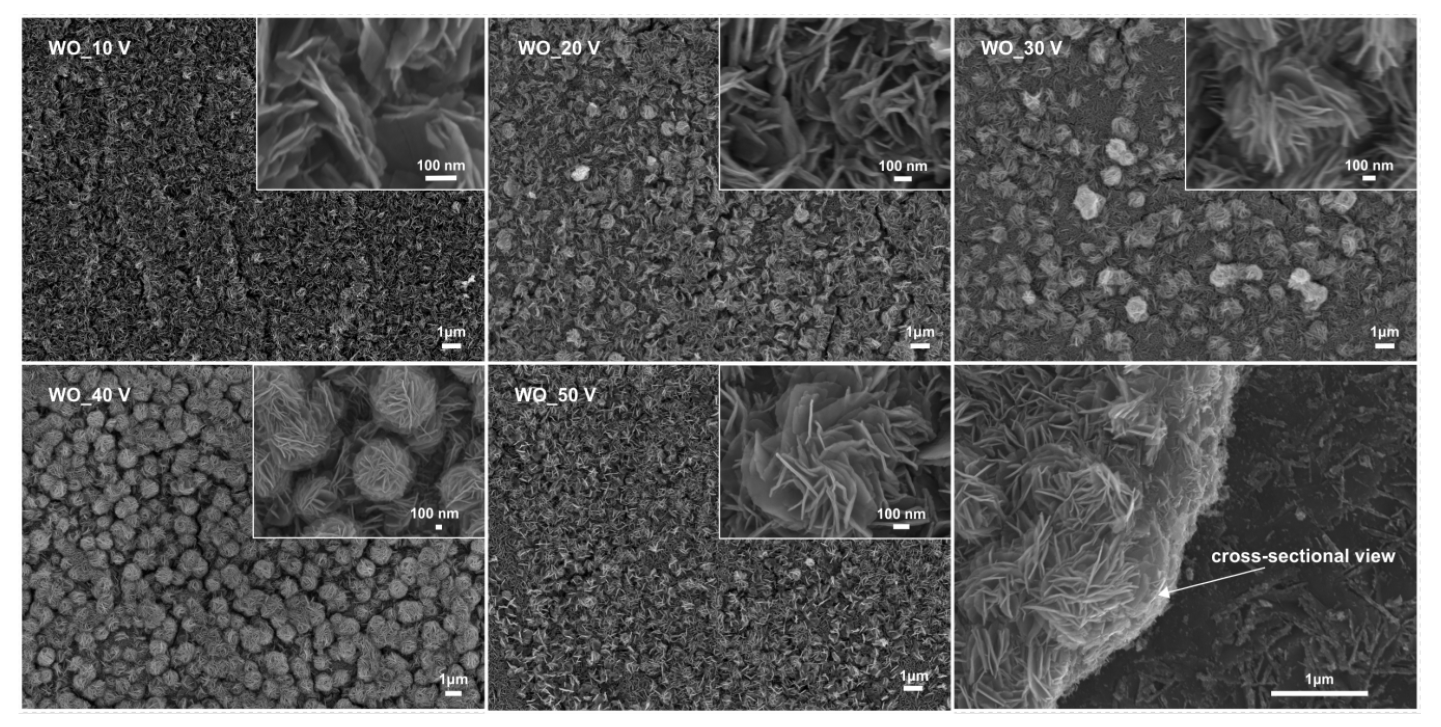 Materials 13 03506 g001