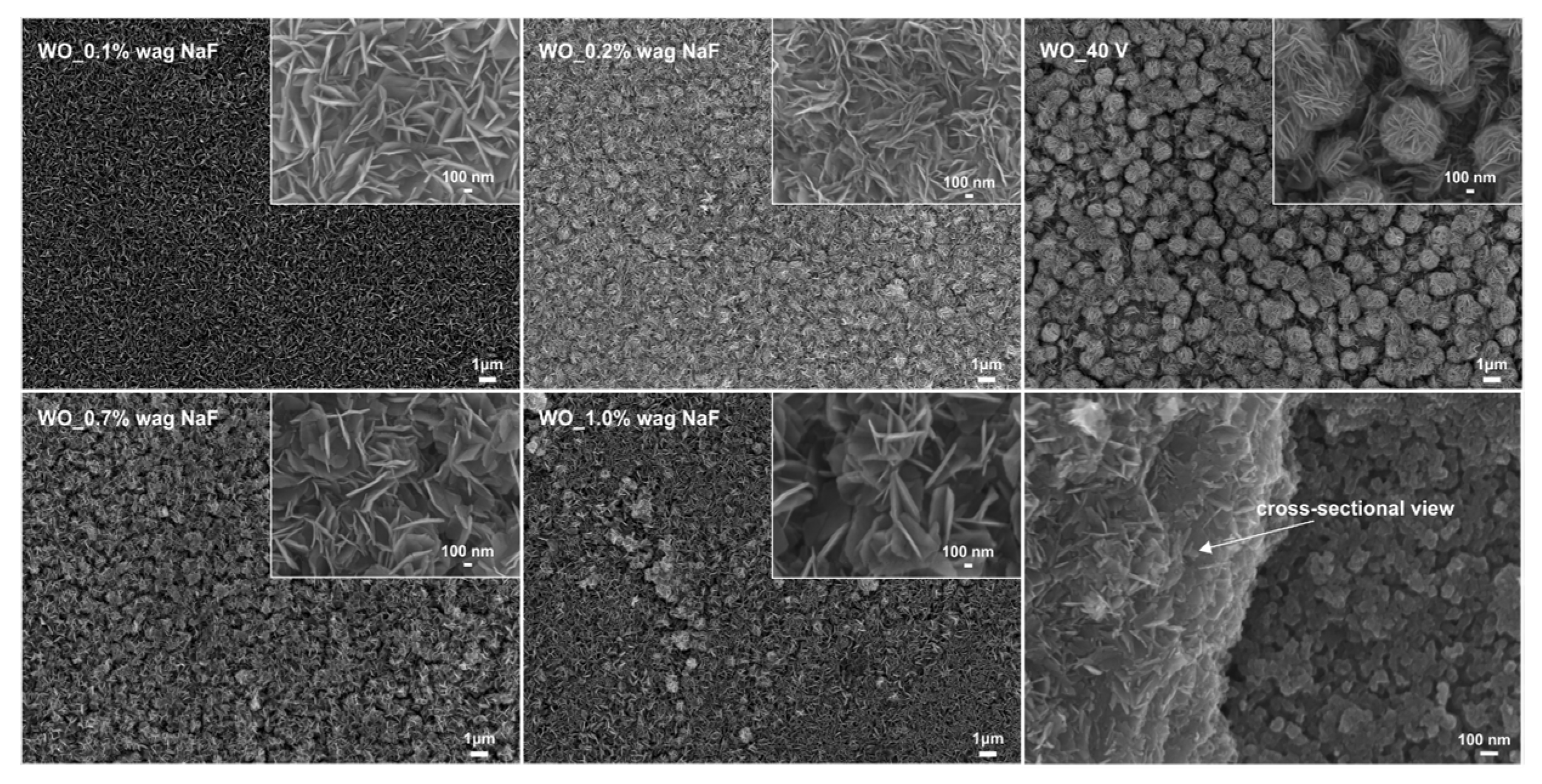 Materials 13 03506 g004