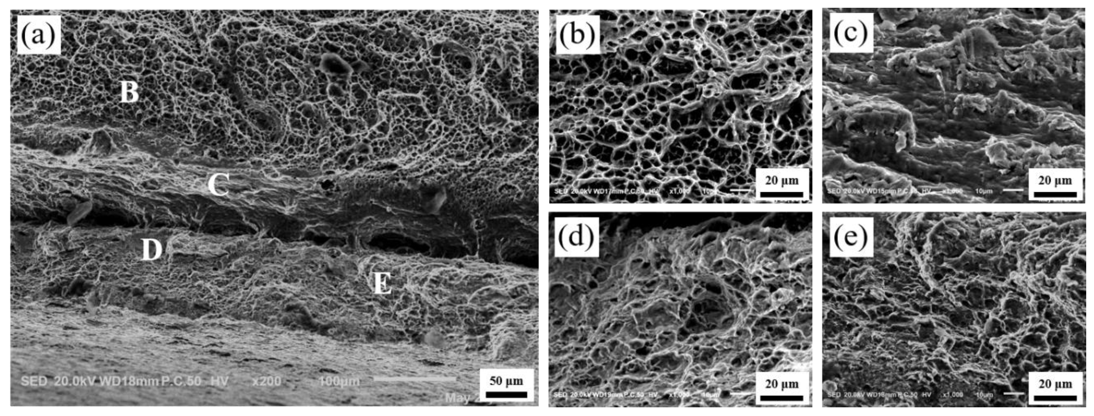 Materials 13 03556 g012