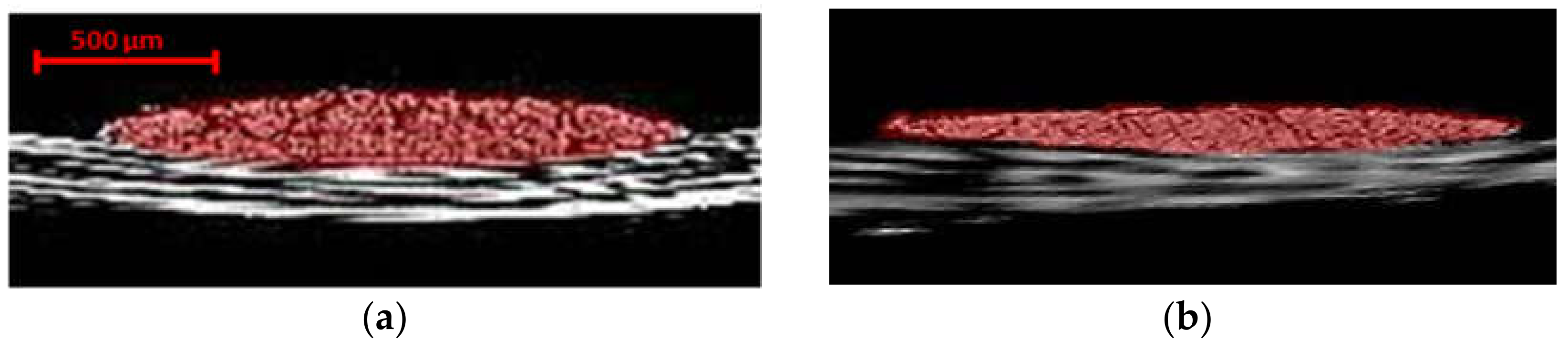 Materials 13 03606 g012