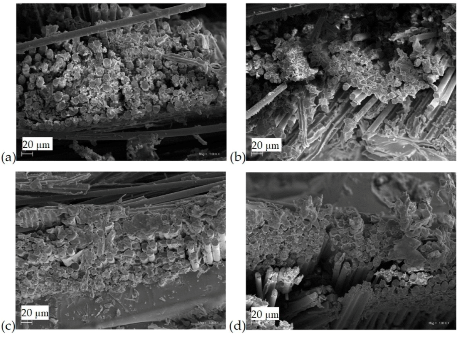 Materials 13 03611 g001 Materials 13 03611 g001