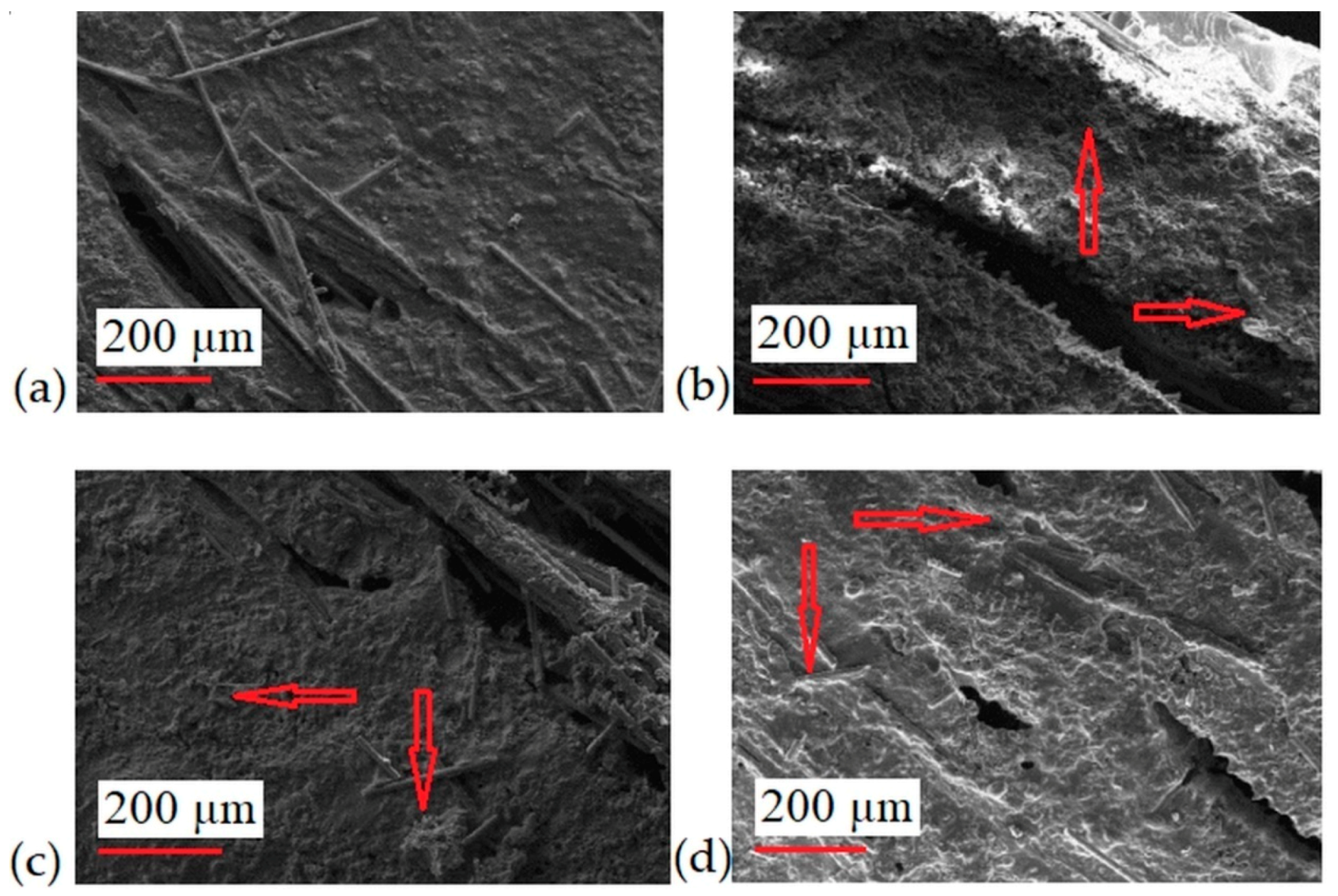 Materials 13 03611 g002 Materials 13 03611 g002