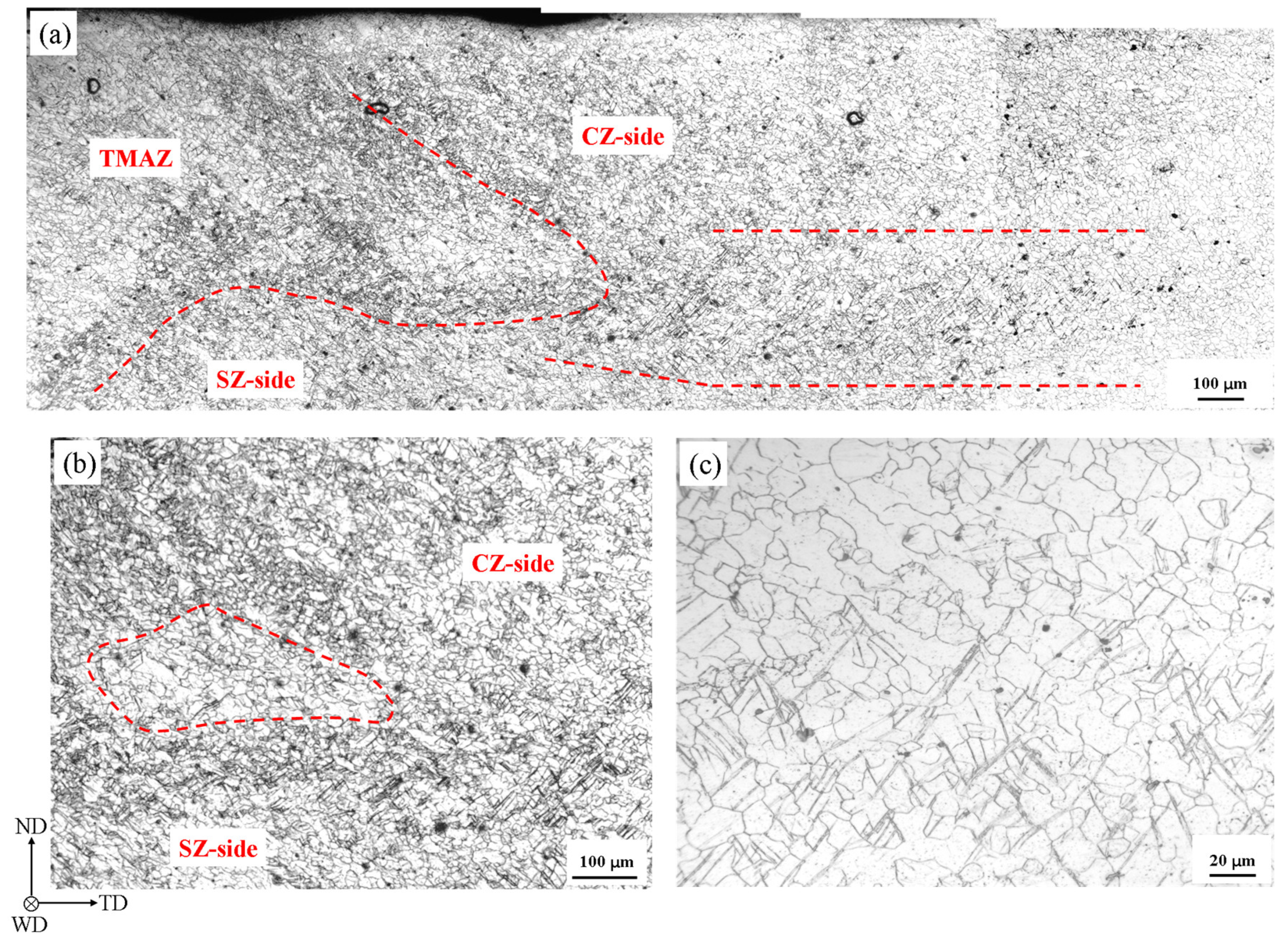 Materials 13 03672 g007