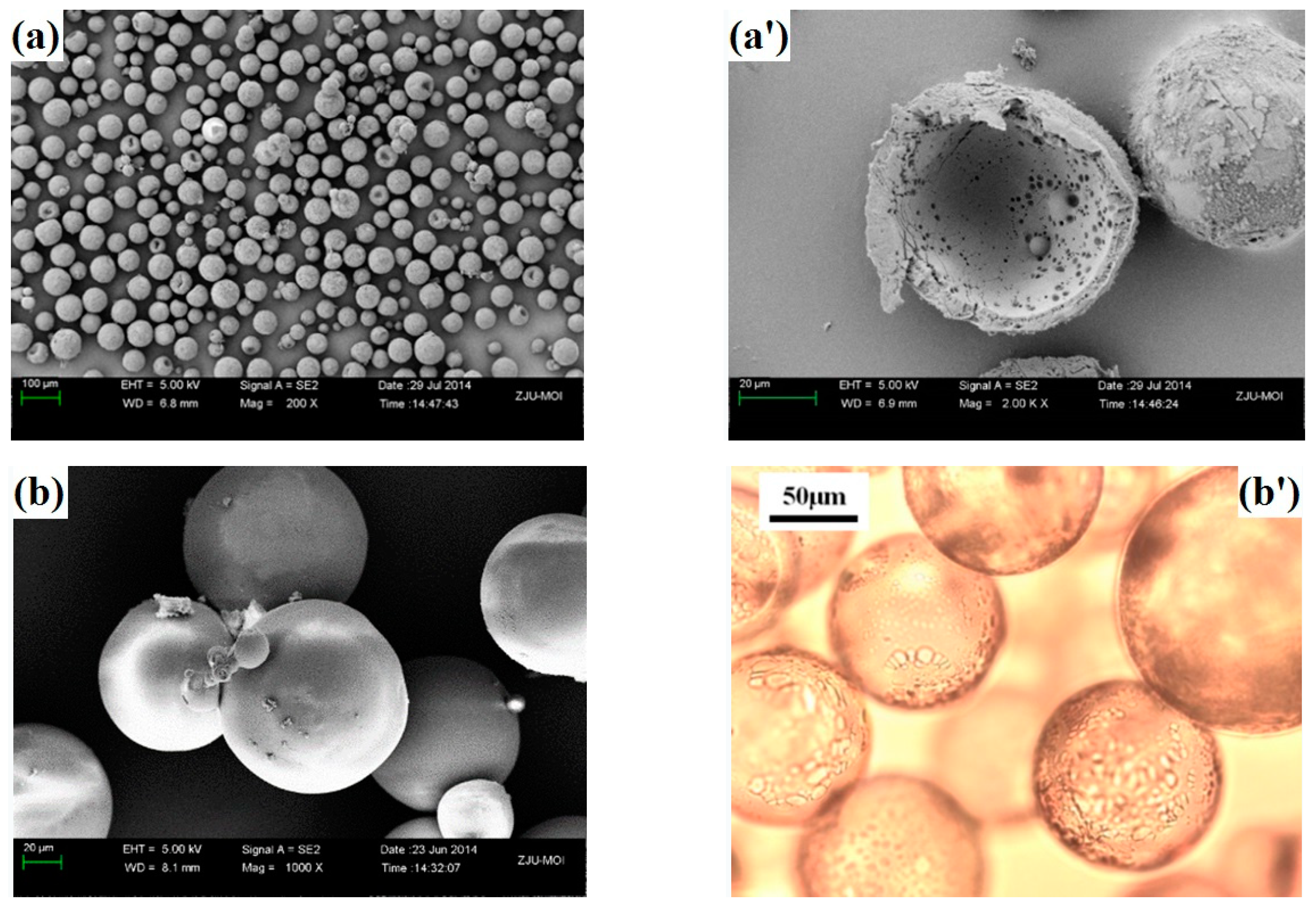 Materials 13 03673 g007