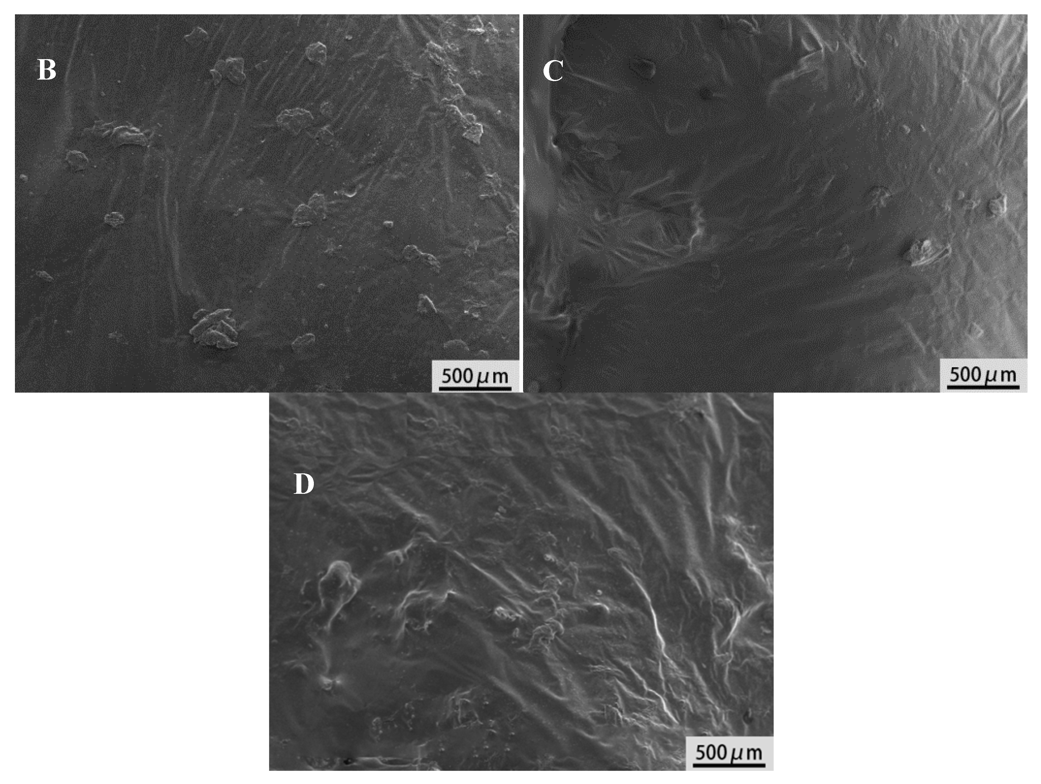 Materials 13 03679 g005 Materials 13 03679 g005