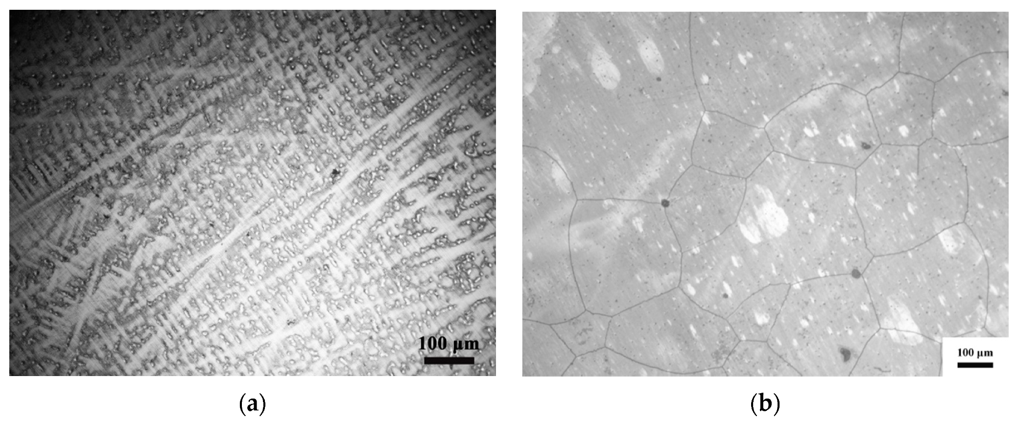 Materials 13 03722 g001a Materials 13 03722 g001a