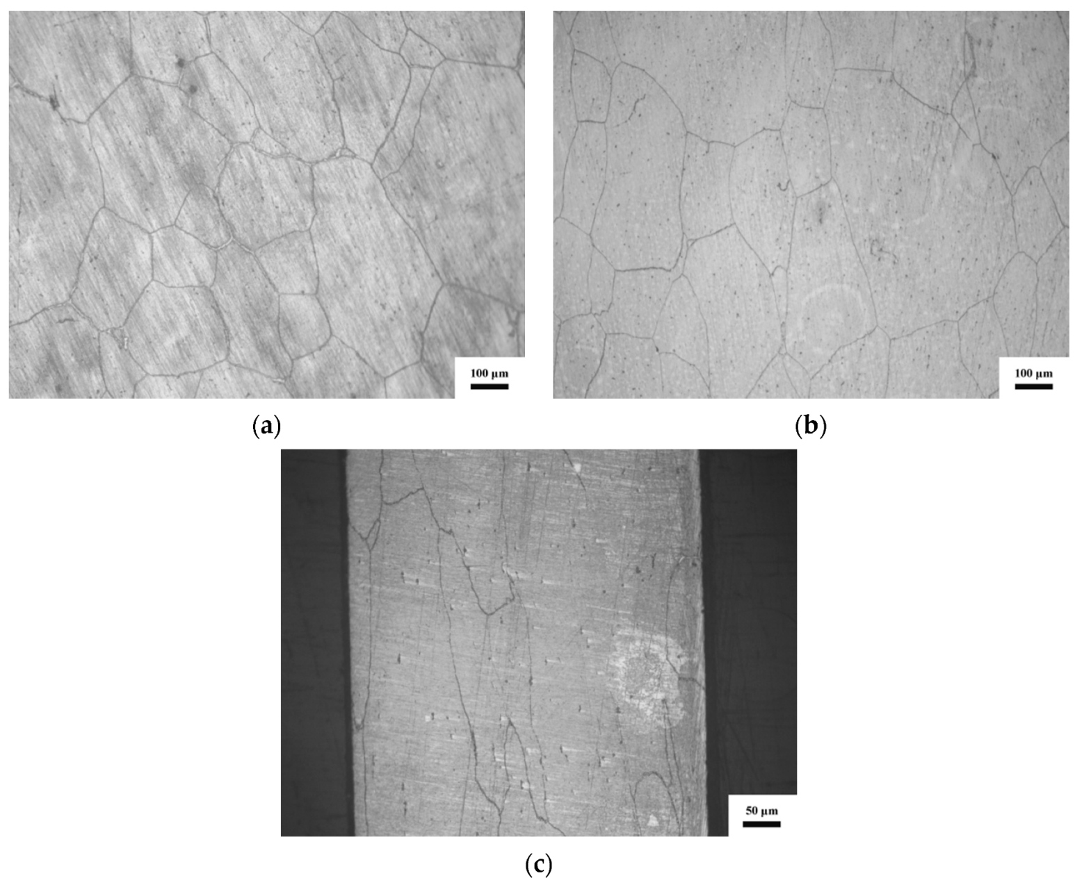 Materials 13 03722 g003 Materials 13 03722 g003