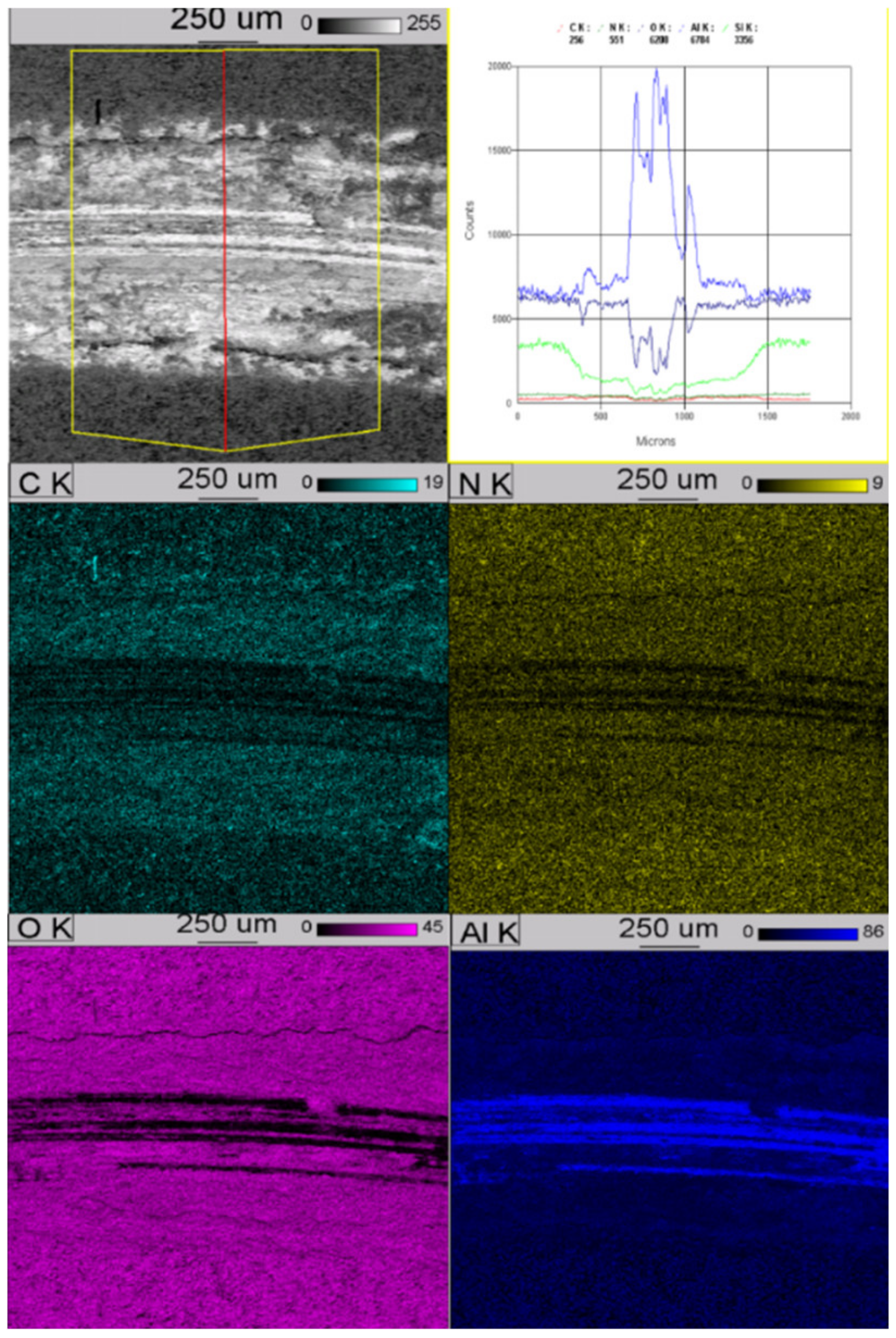 Materials 13 03747 g006
