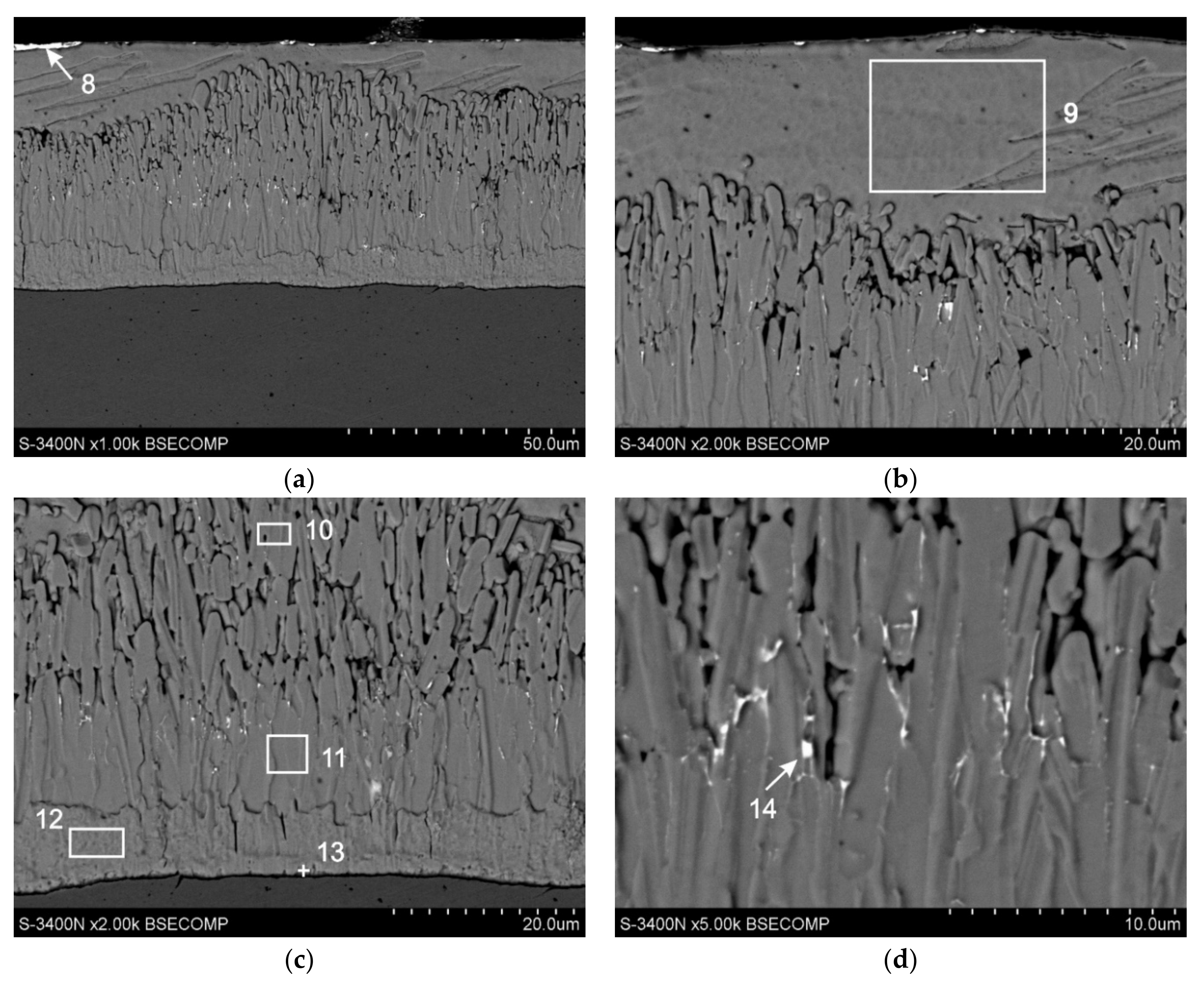 Materials 13 03788 g005