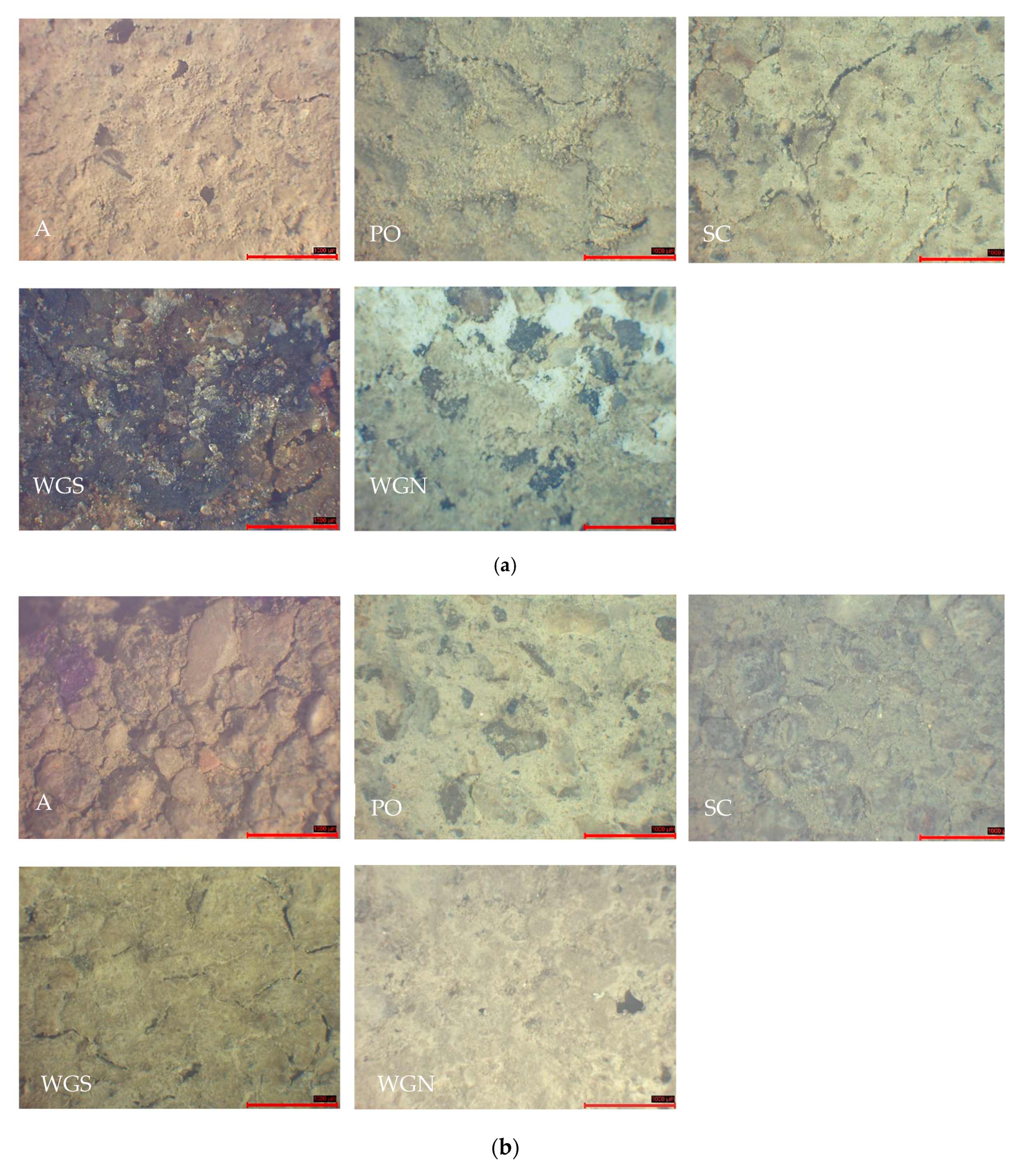 Materials 13 03790 g007 Materials 13 03790 g007