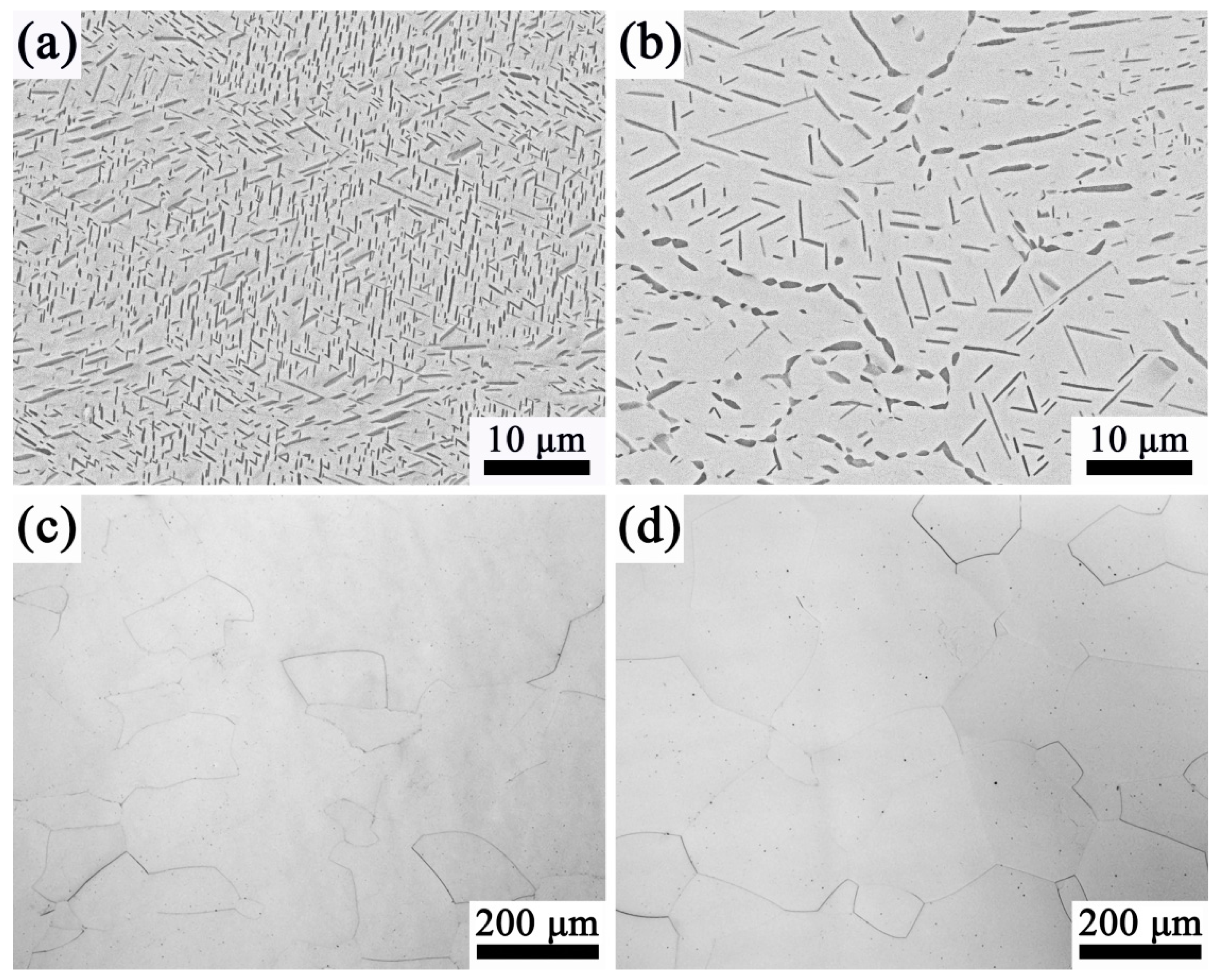 Materials 13 03798 g003