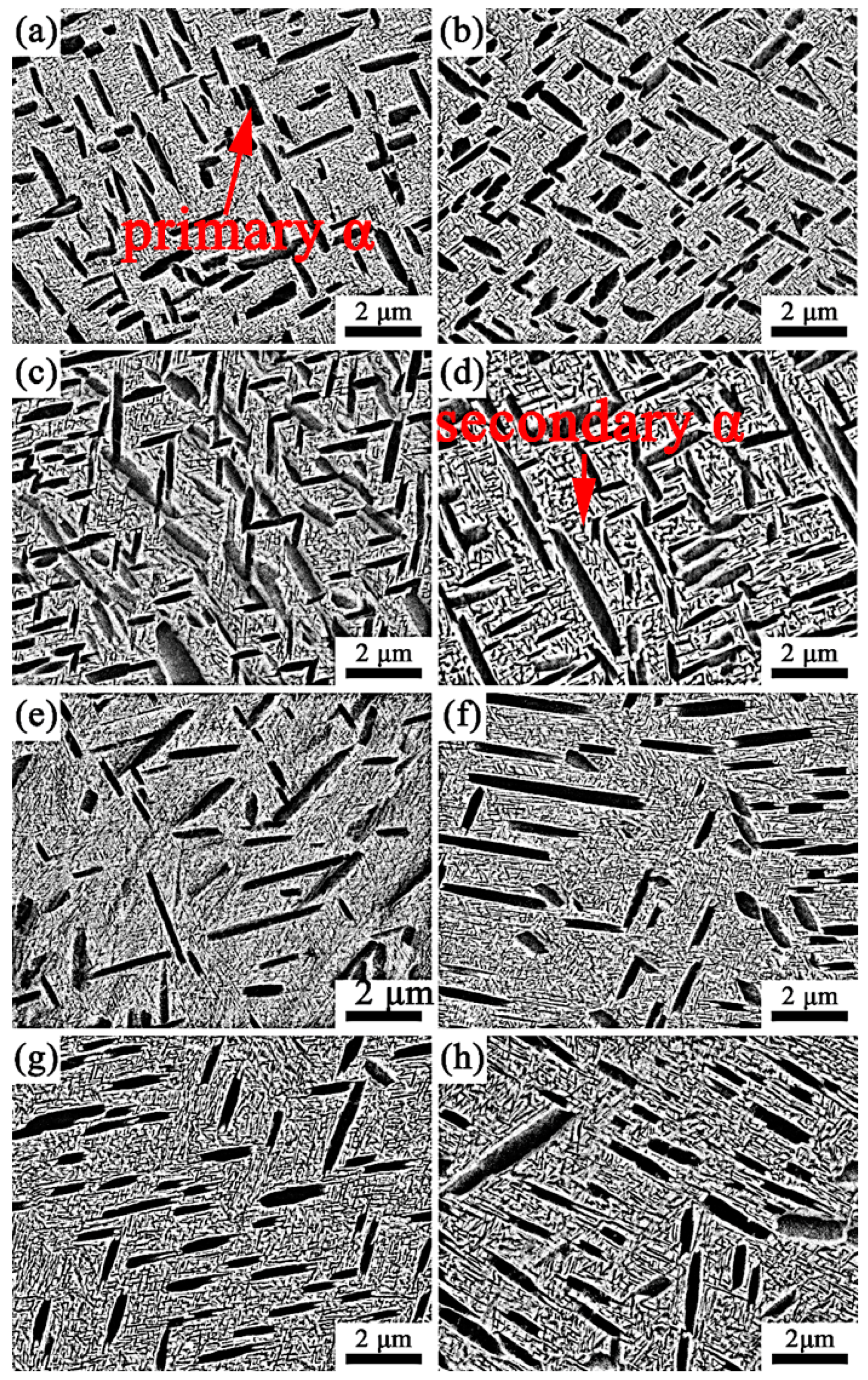 Materials 13 03798 g005