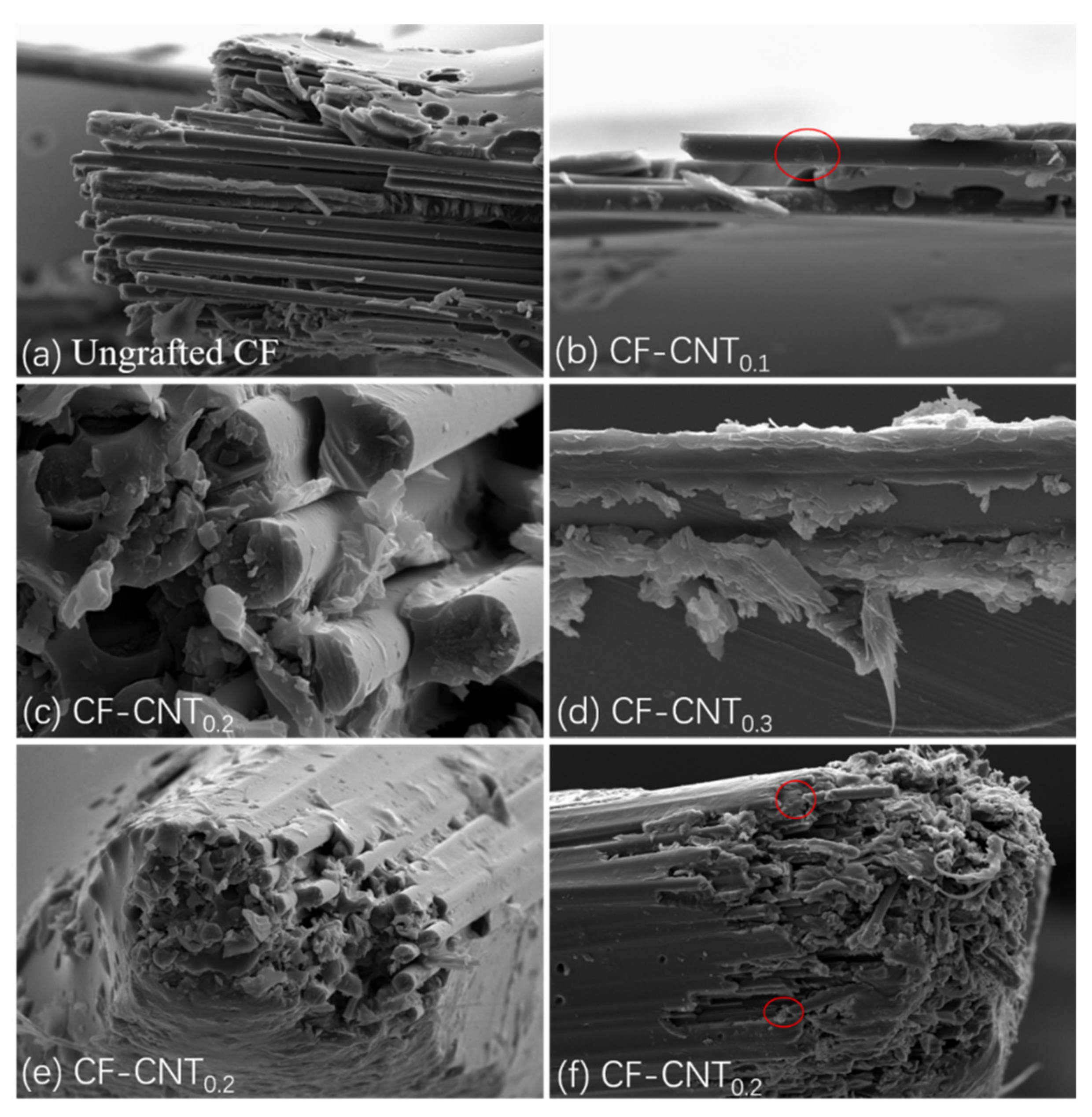 Materials 13 03813 g007 Materials 13 03813 g007