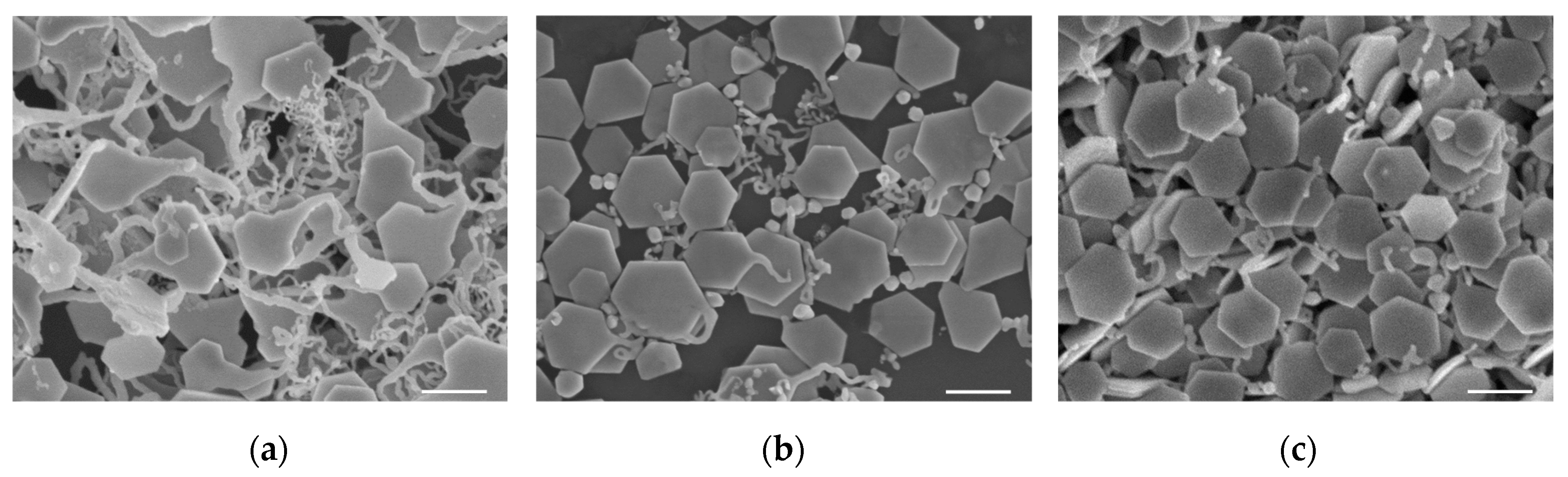 Materials 13 03827 g002 Materials 13 03827 g002