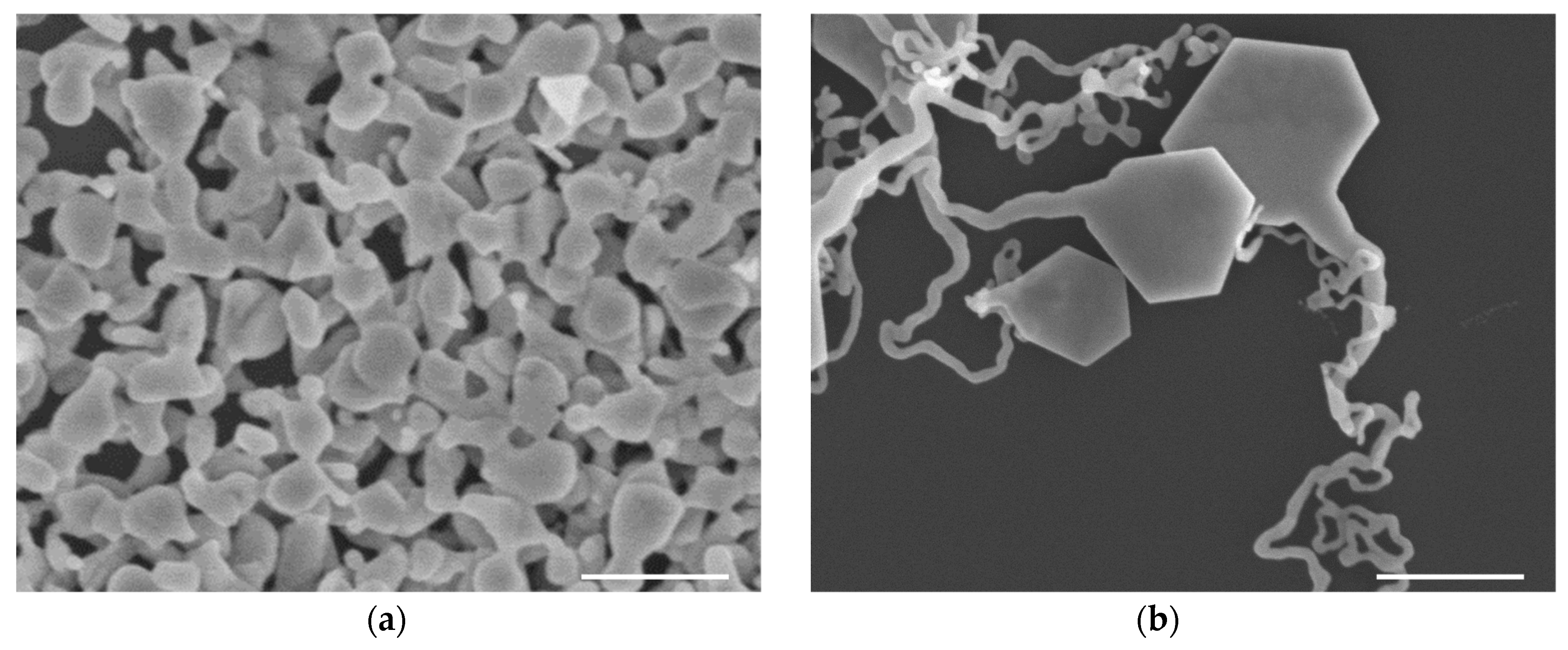 Materials 13 03827 g004a Materials 13 03827 g004a