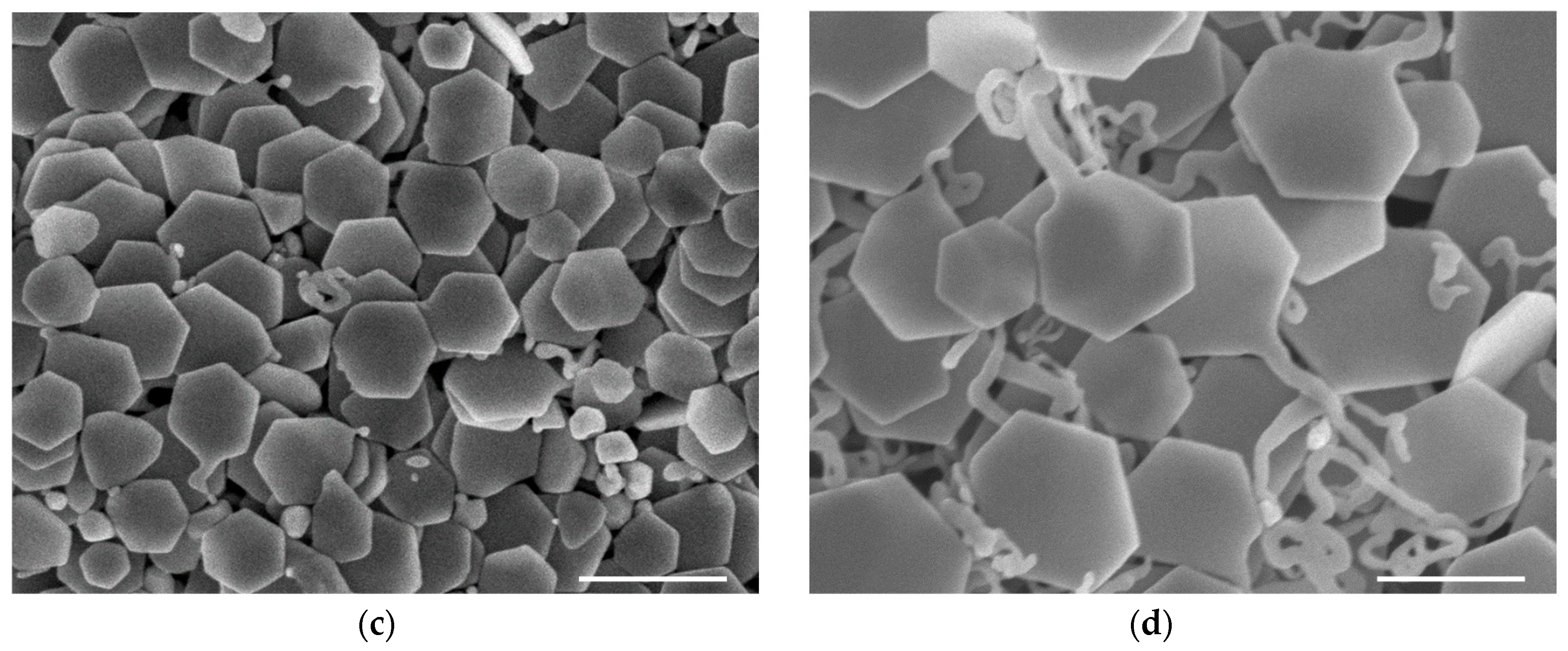 Materials 13 03827 g004b Materials 13 03827 g004b