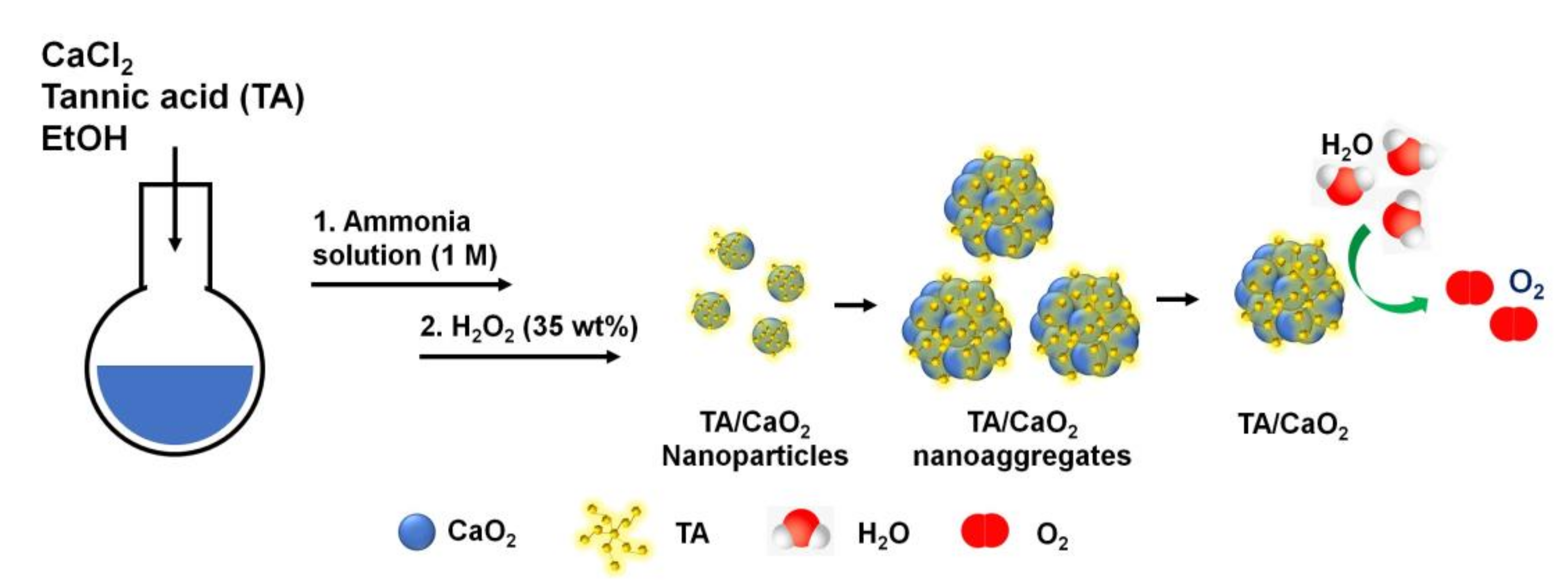 Materials 13 03864 g001 Materials 13 03864 g001