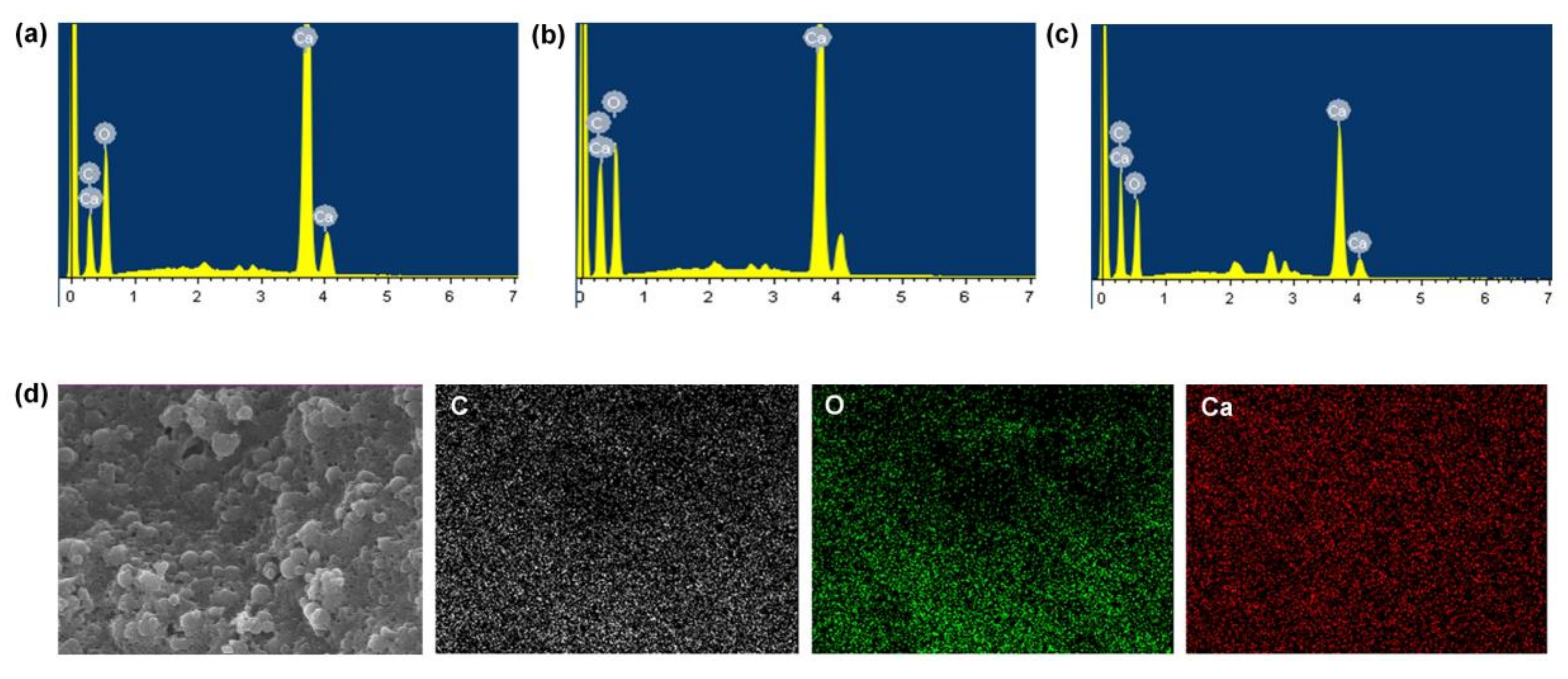 Materials 13 03864 g003 Materials 13 03864 g003