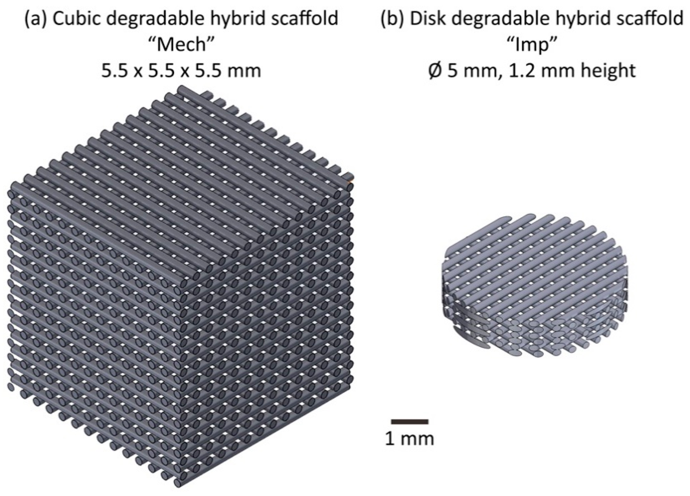 Materials 13 03890 g001 Materials 13 03890 g001