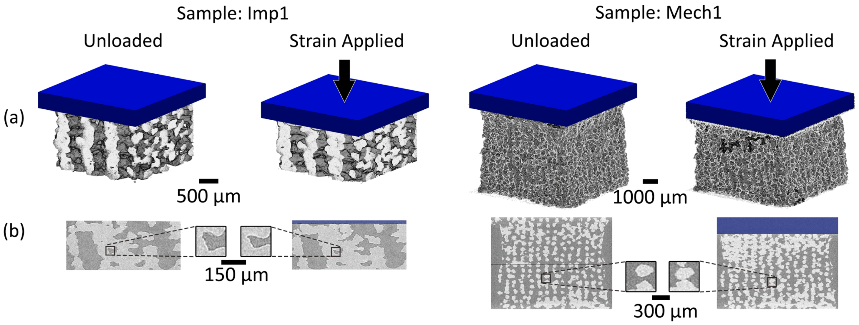 Materials 13 03890 g004 Materials 13 03890 g004