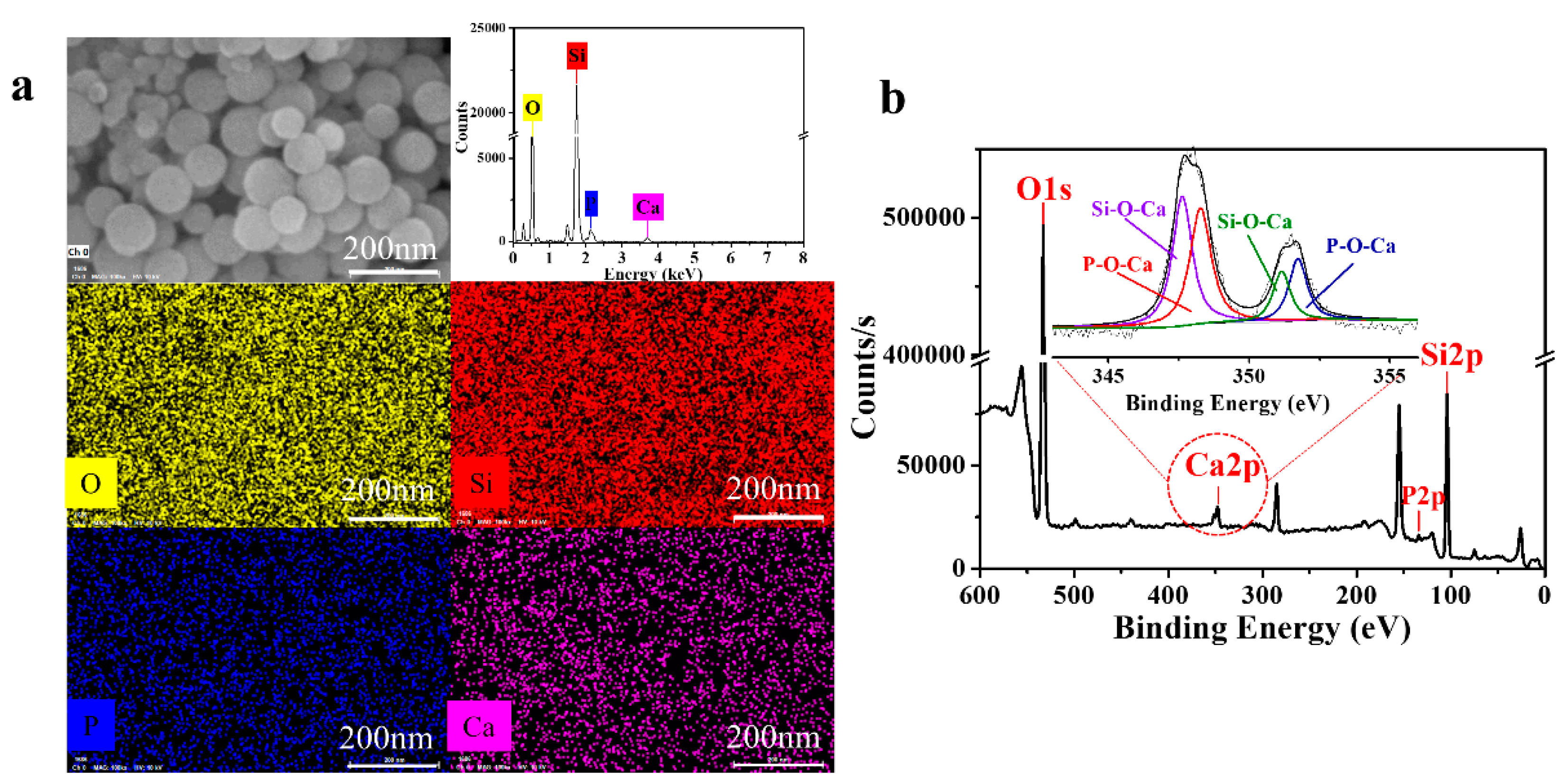 Materials 13 03950 g006