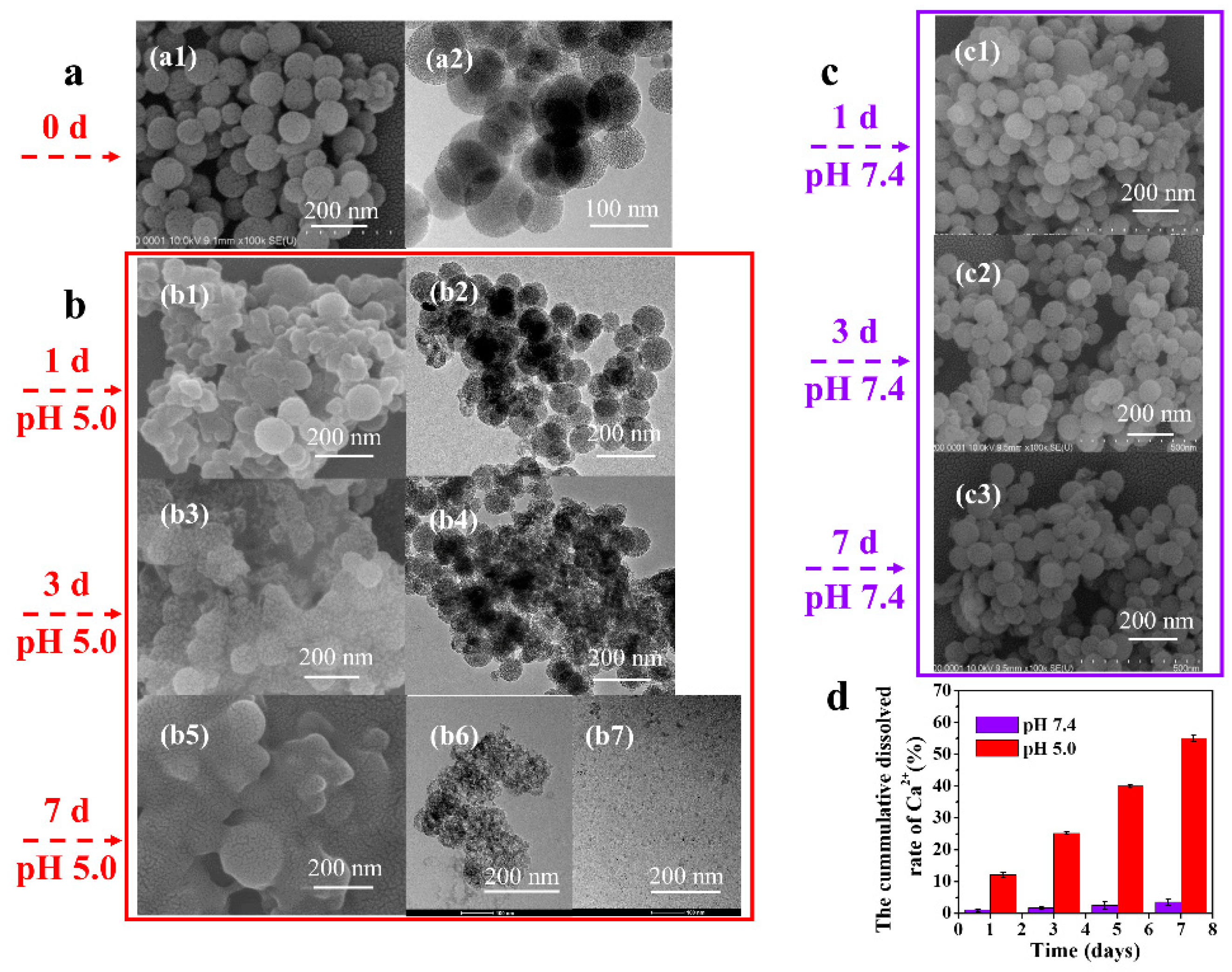Materials 13 03950 g007