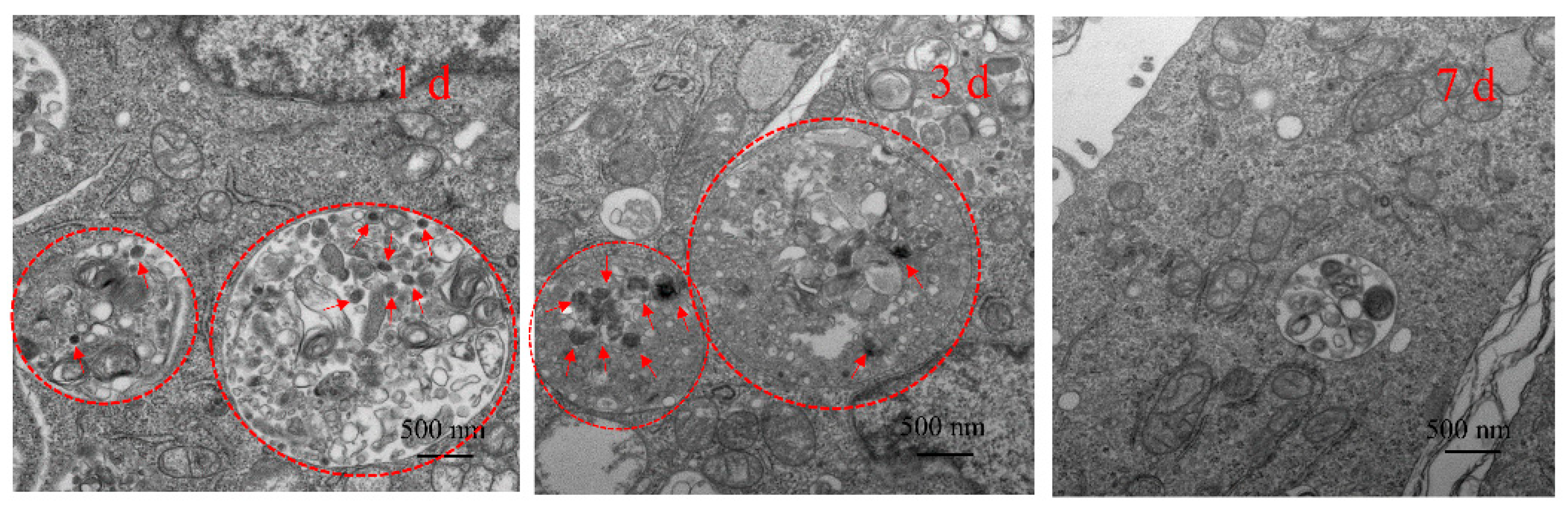 Materials 13 03950 g008