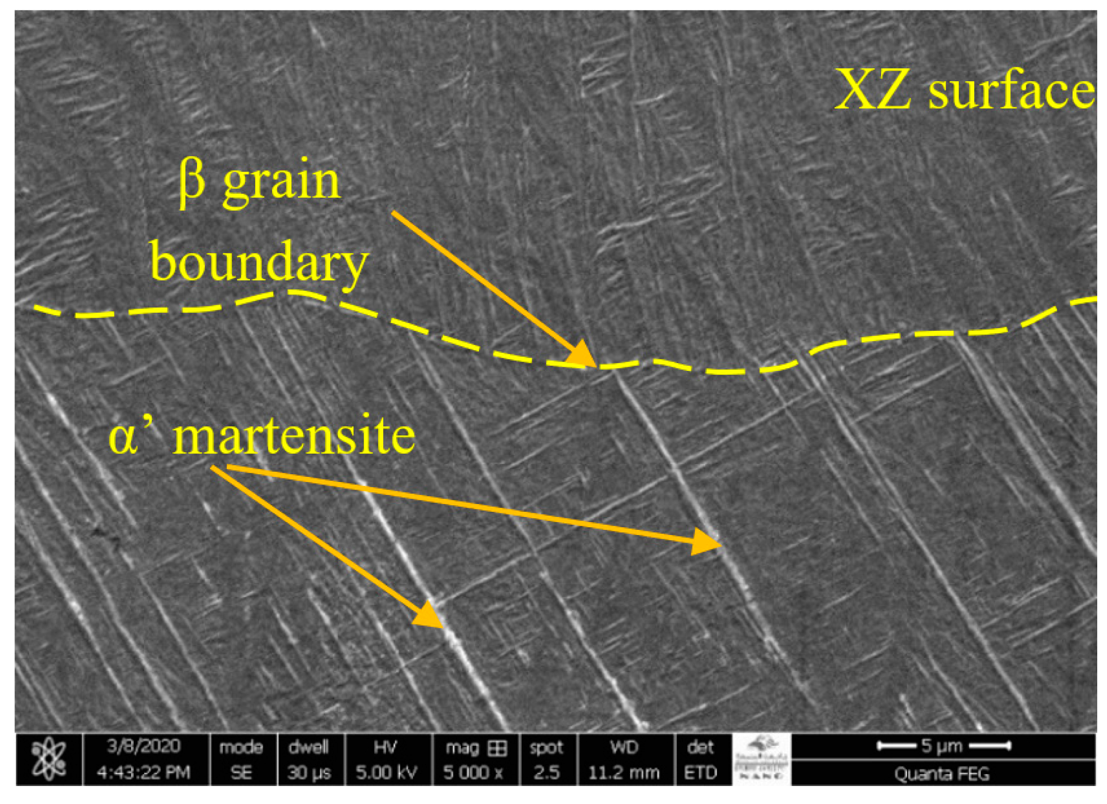 Materials 13 03967 g007 Materials 13 03967 g007
