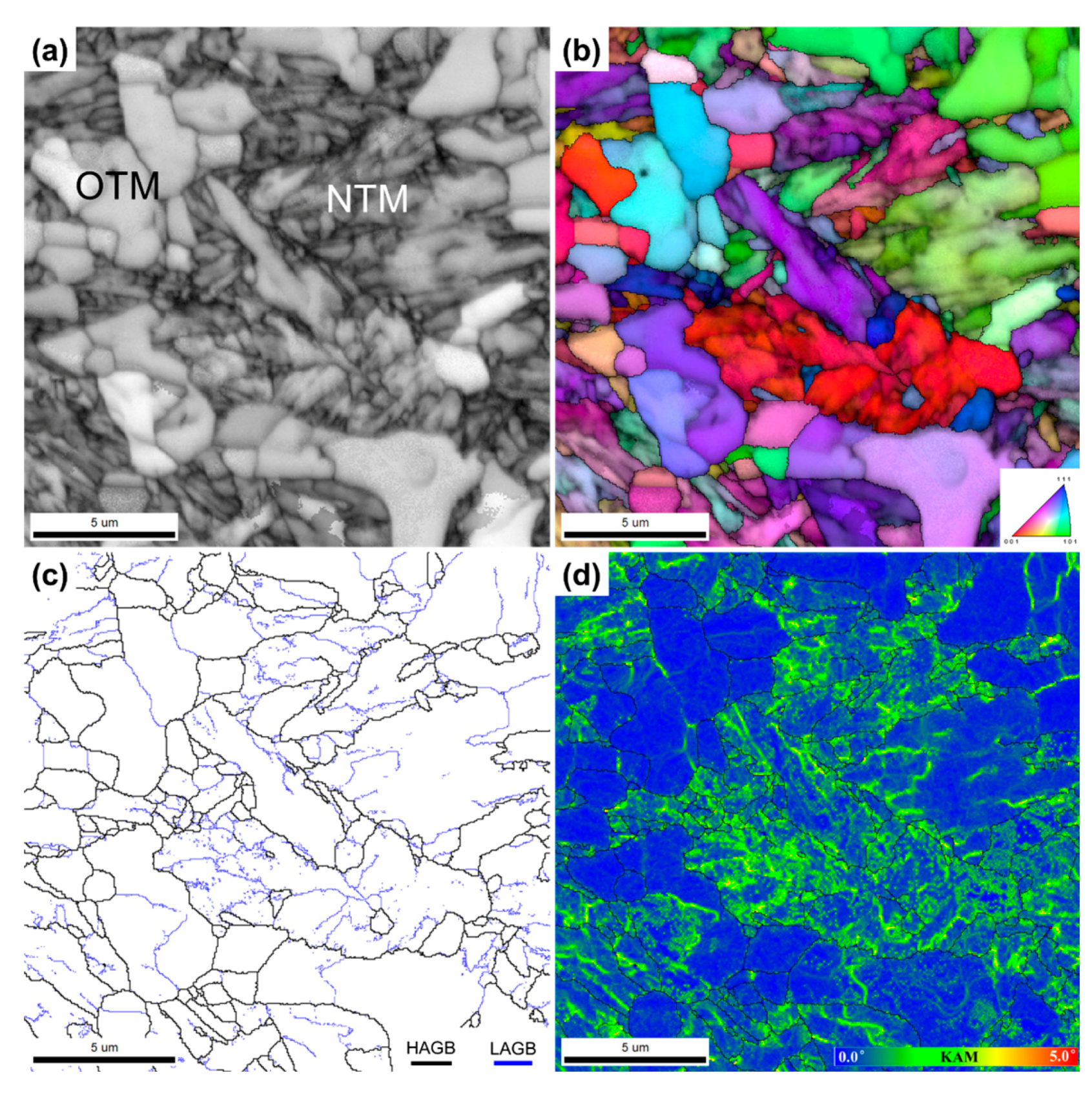 Materials 13 03985 g003 Materials 13 03985 g003