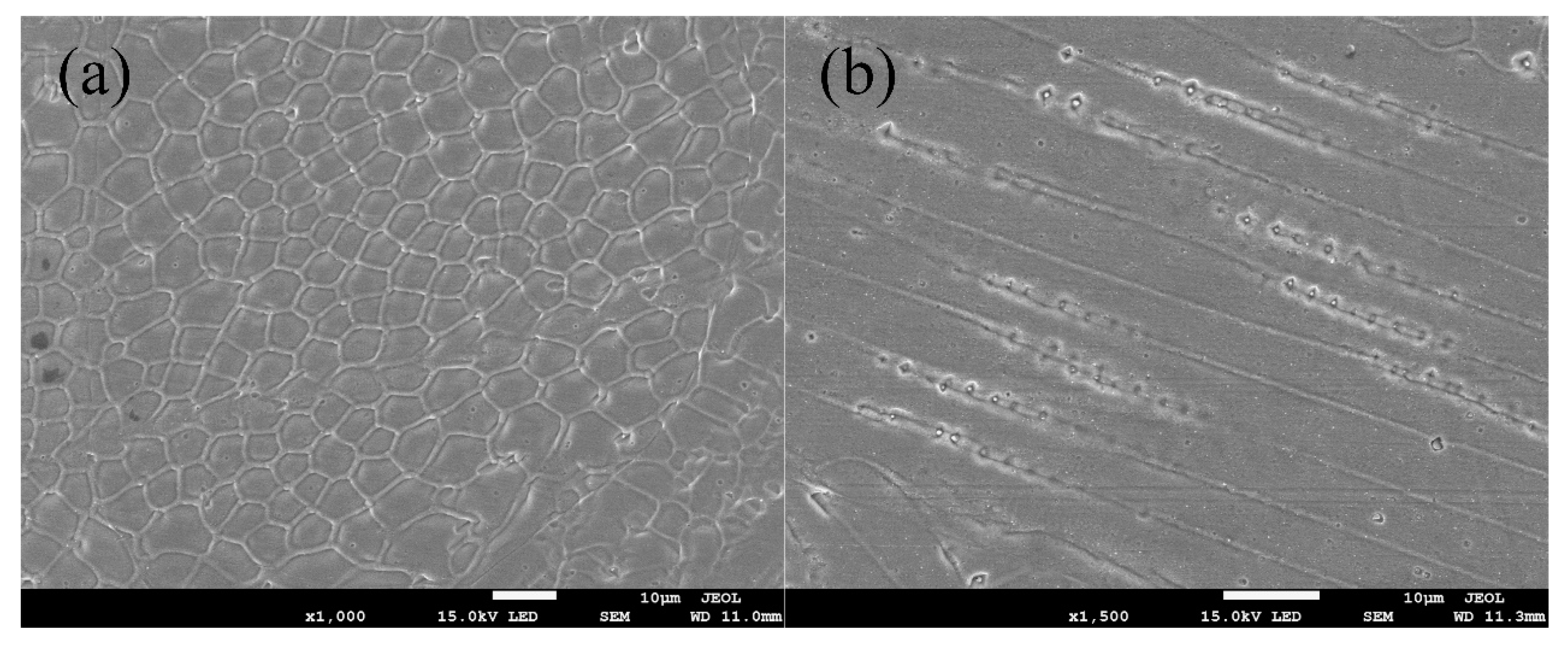 Materials 13 04016 g012