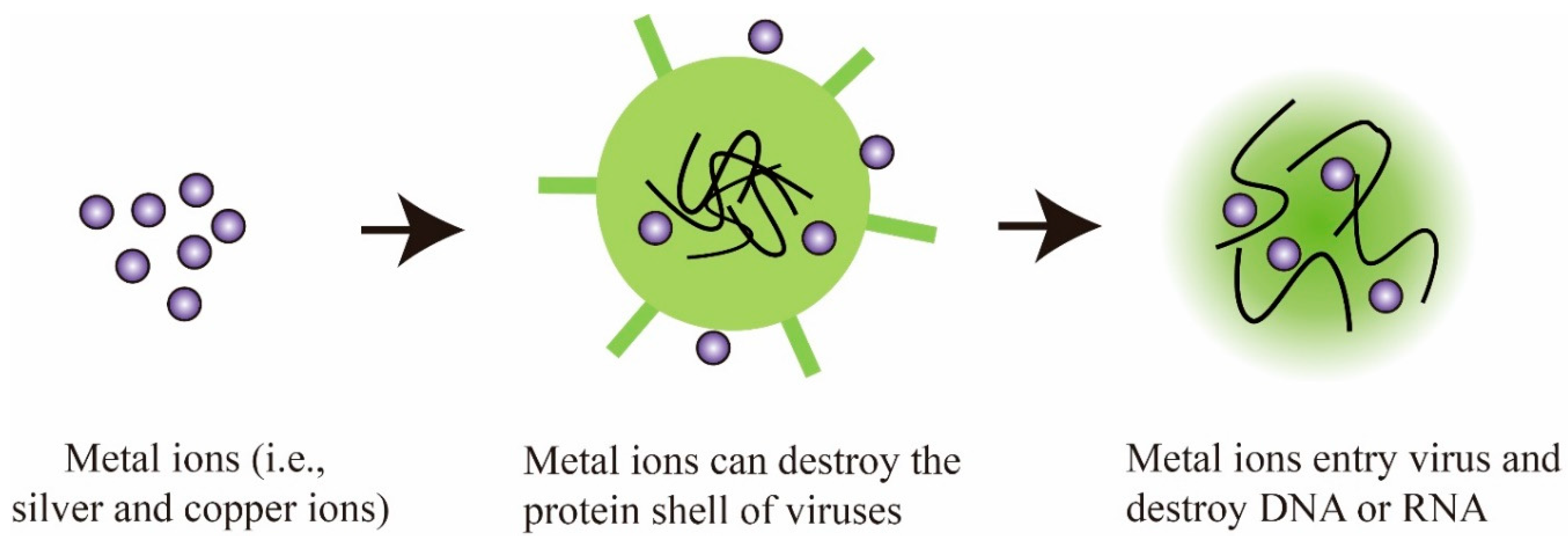 materials free full text science based strategies of antiviral coatings with viricidal properties for the covid 19 like pandemics html