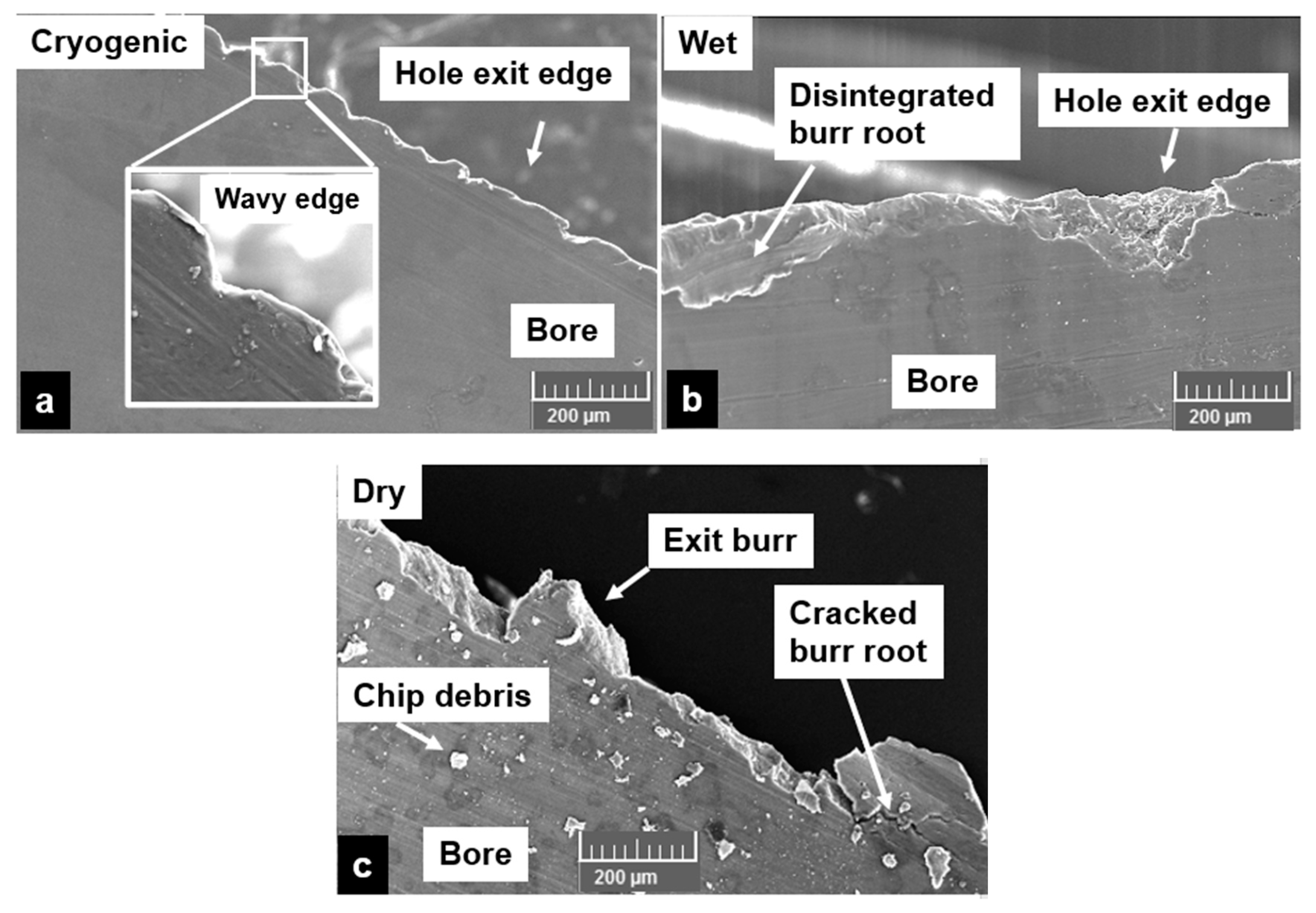 Materials 13 04094 g010
