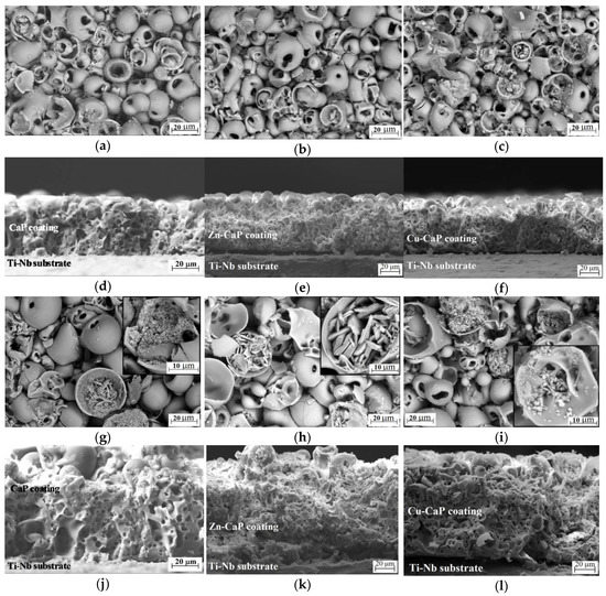Materials Free Full Text Zn Or Cu Containing Cap Based Coatings Formed By Micro Arc Oxidation On Titanium And Ti 40nb Alloy Part I Microstructure Composition And Properties Html