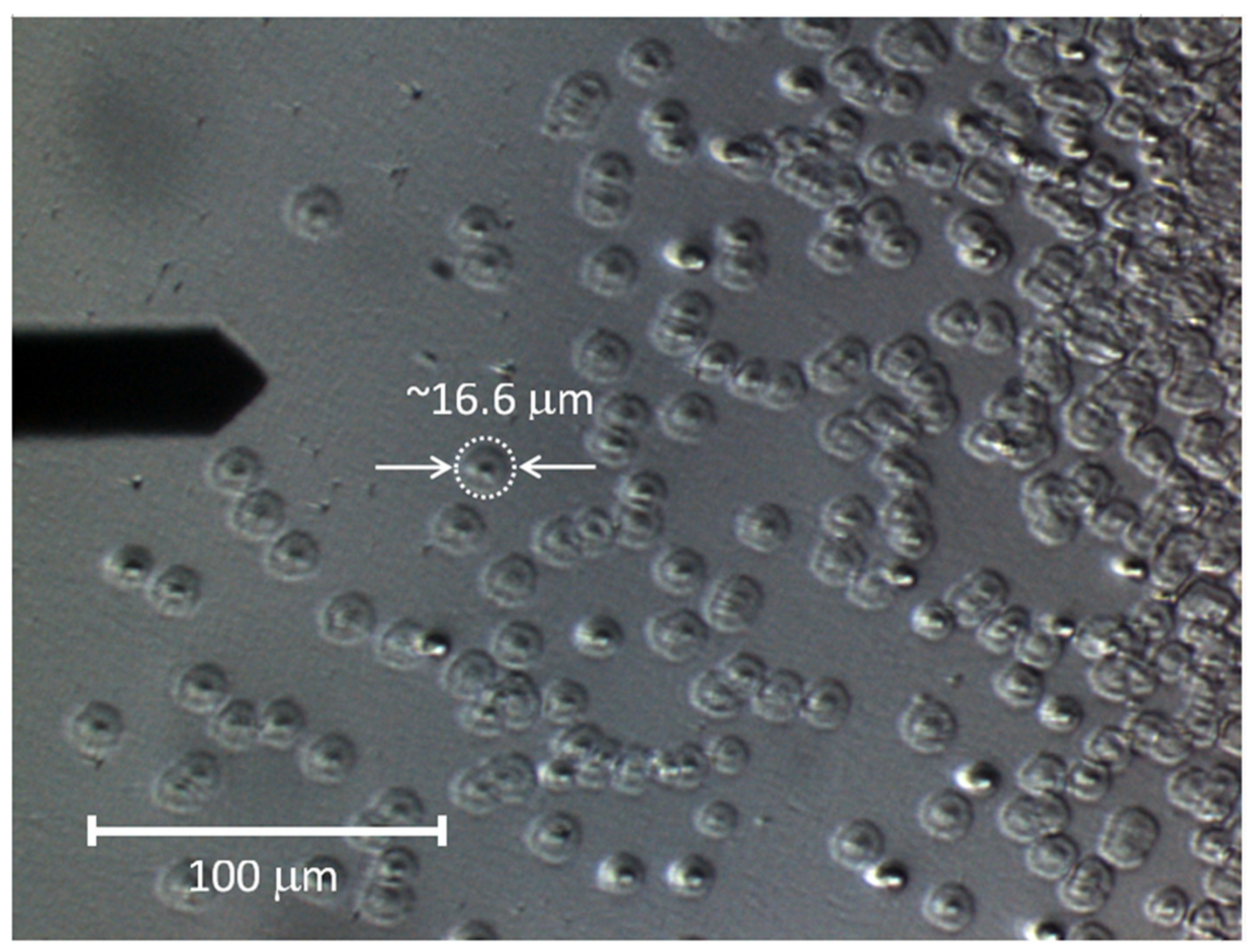 Materials 13 04145 g004