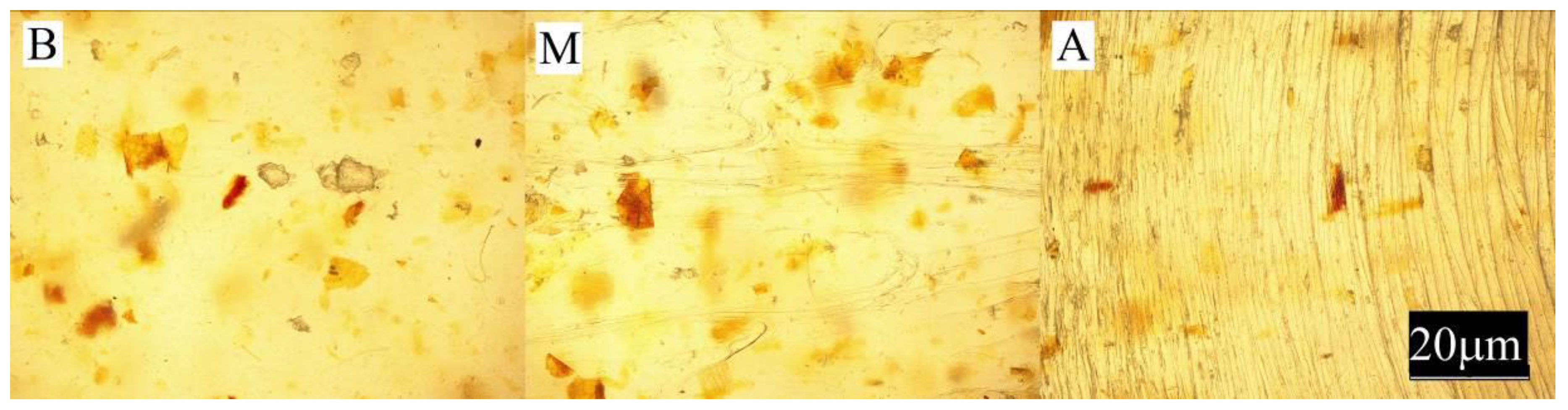 Materials 13 04182 g006