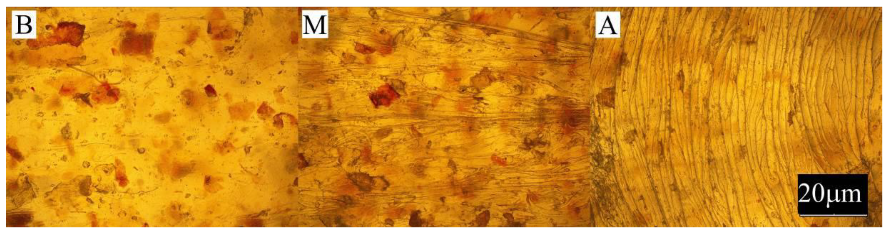 Materials 13 04182 g007