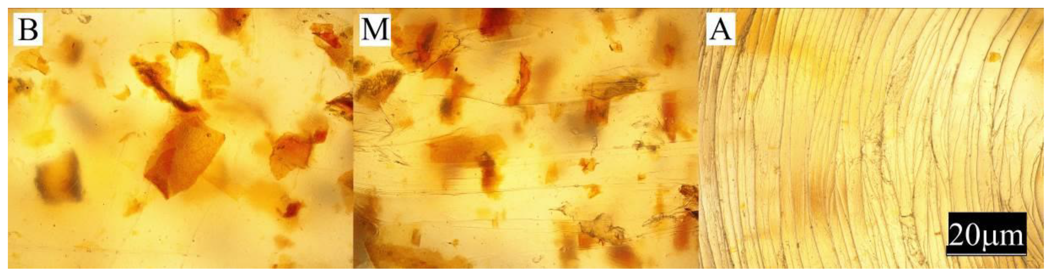 Materials 13 04182 g008