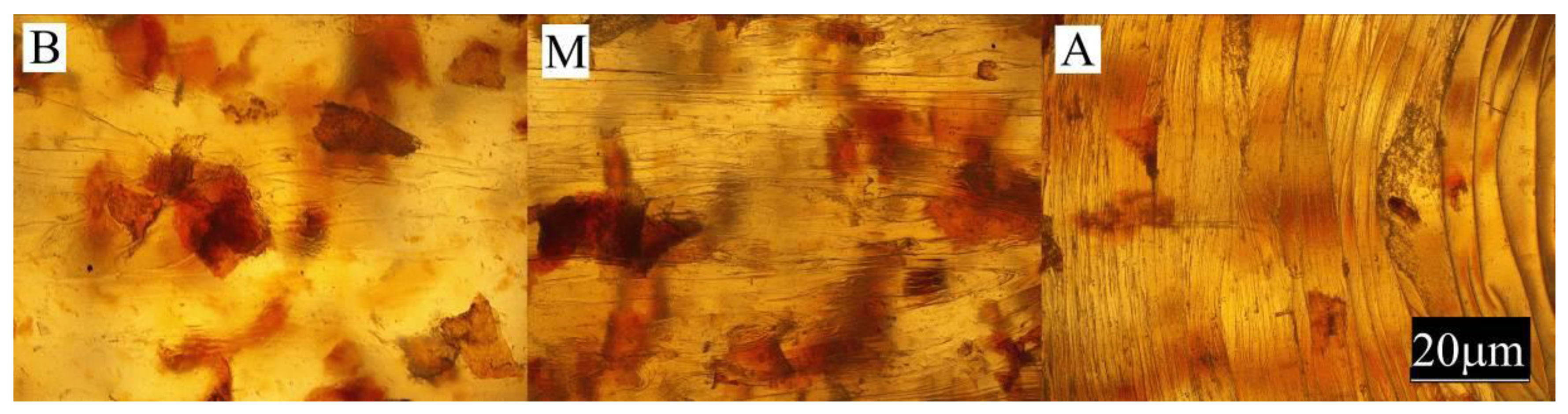 Materials 13 04182 g009