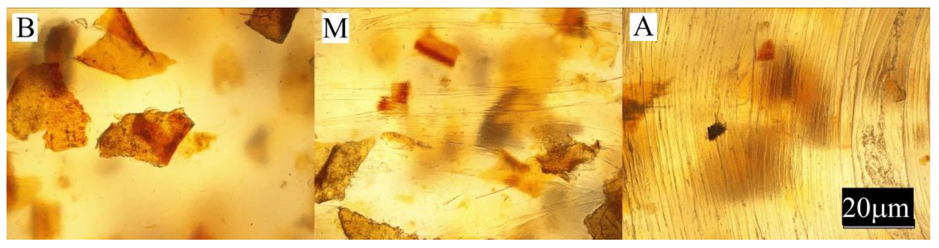 Materials 13 04182 g010