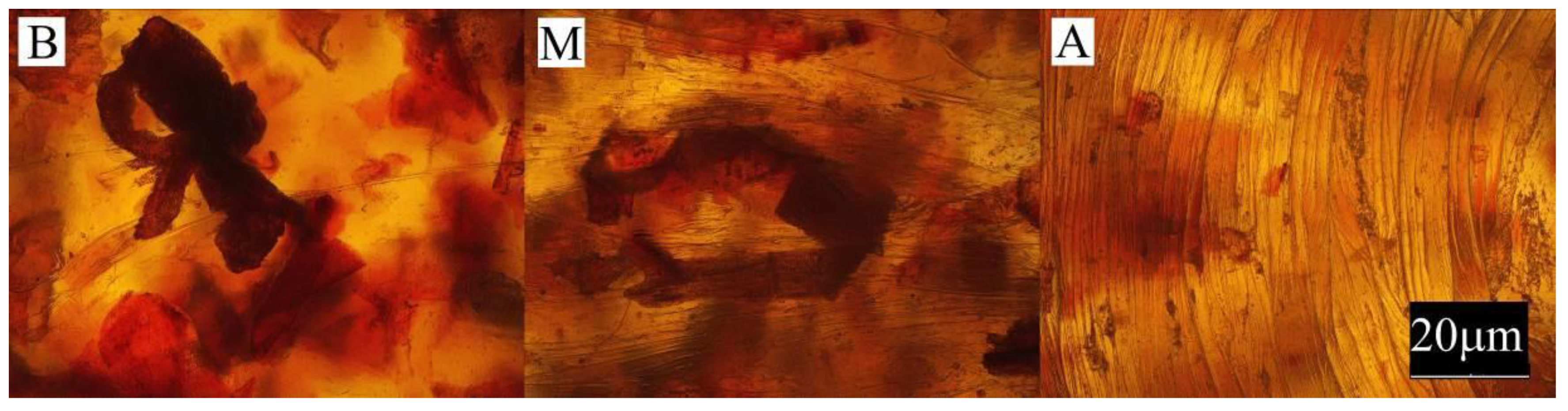 Materials 13 04182 g011