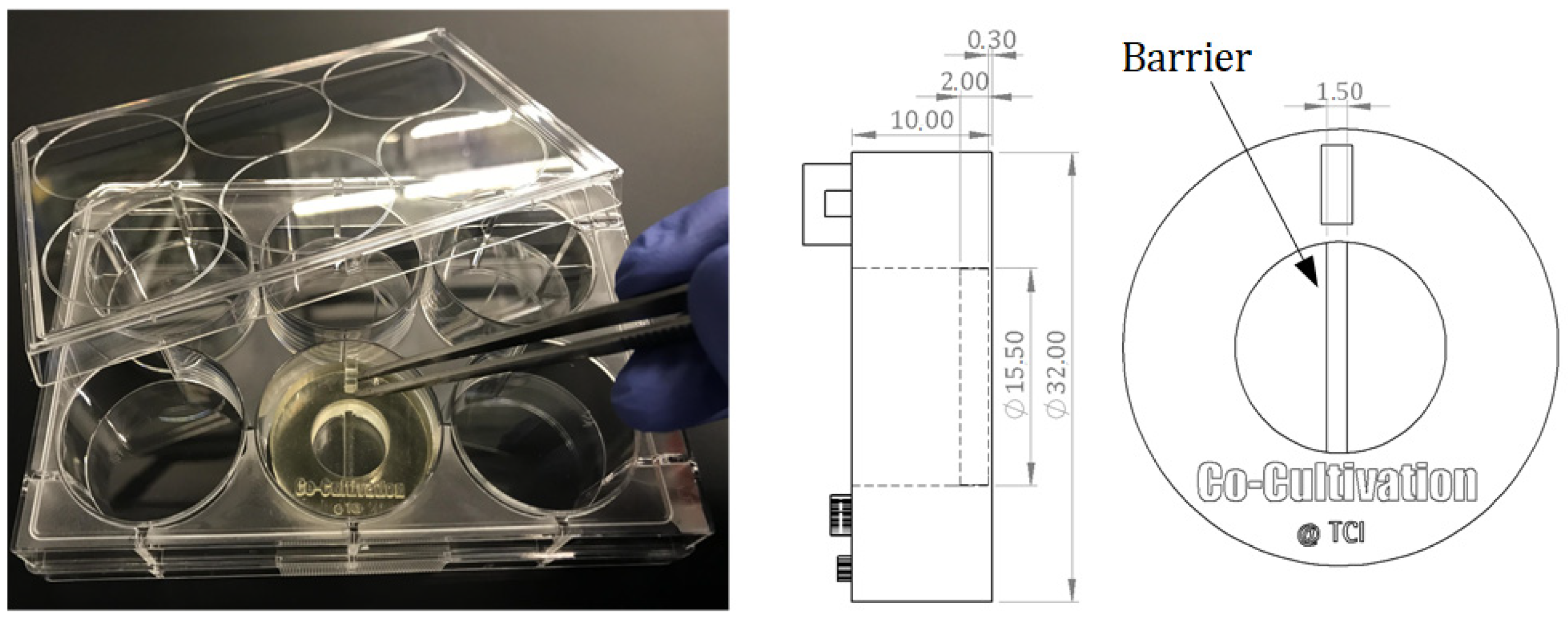 Materials 13 04290 g001