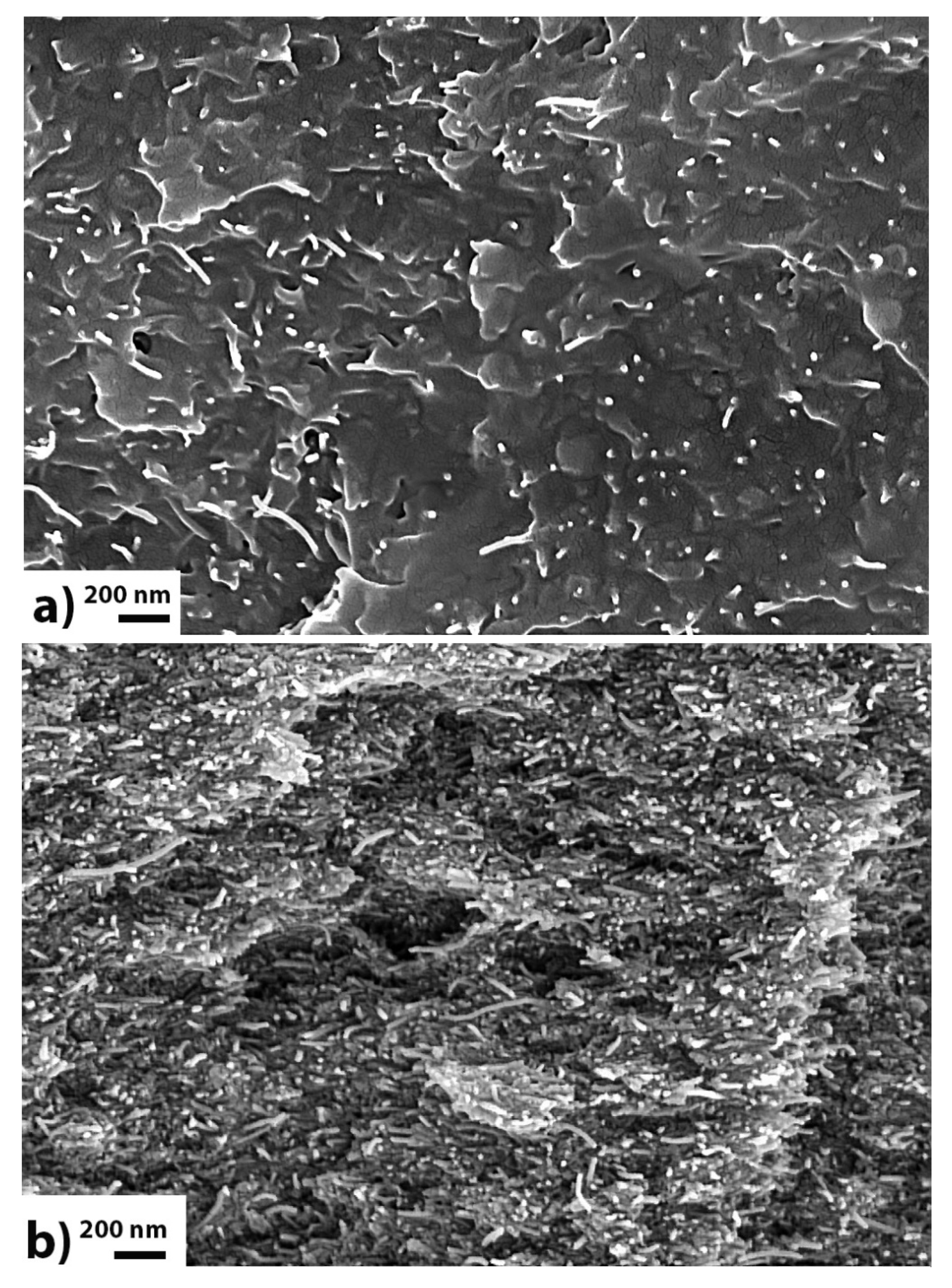 Materials 13 04308 g008 Materials 13 04308 g008