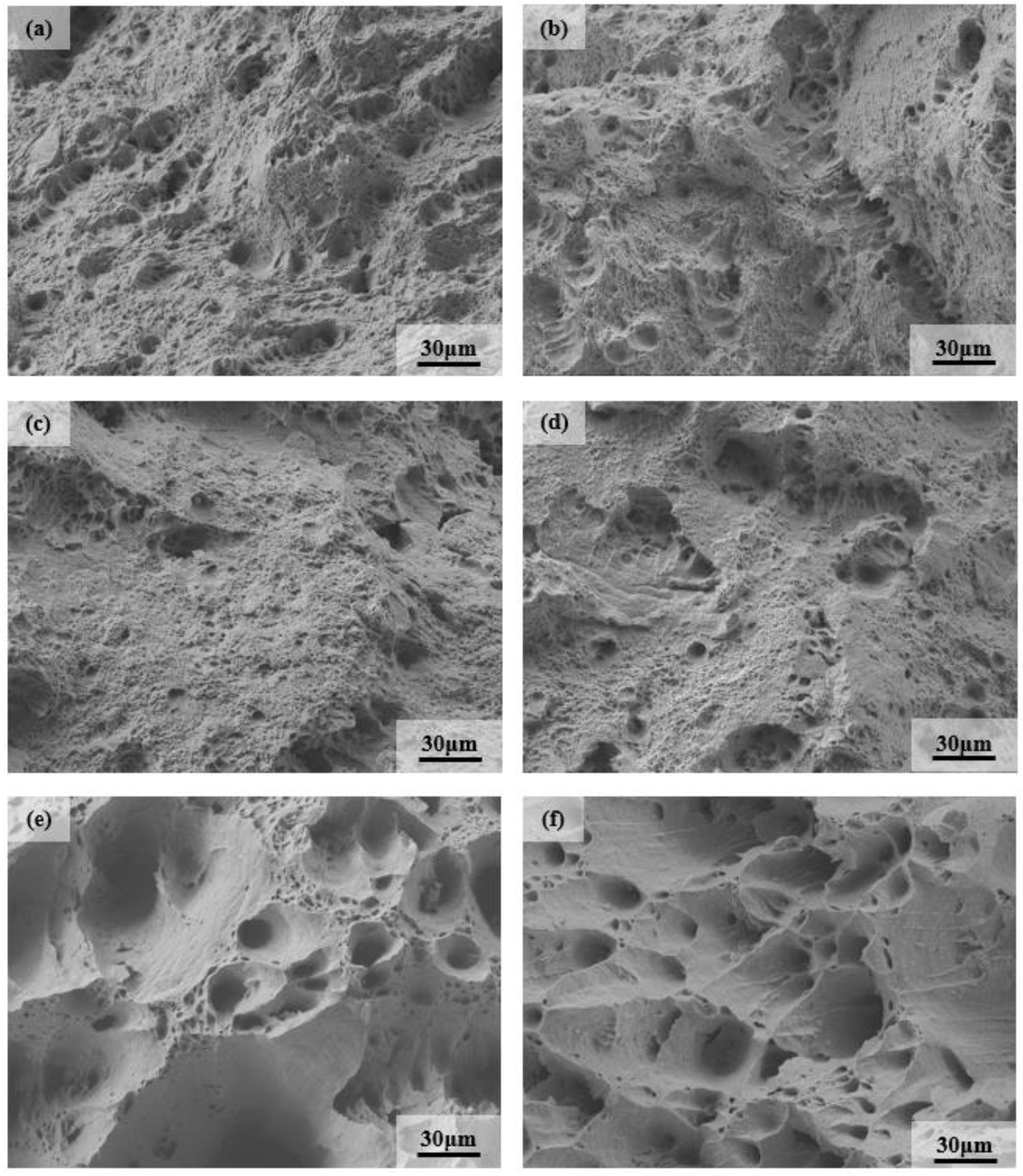 Materials 13 04340 g005