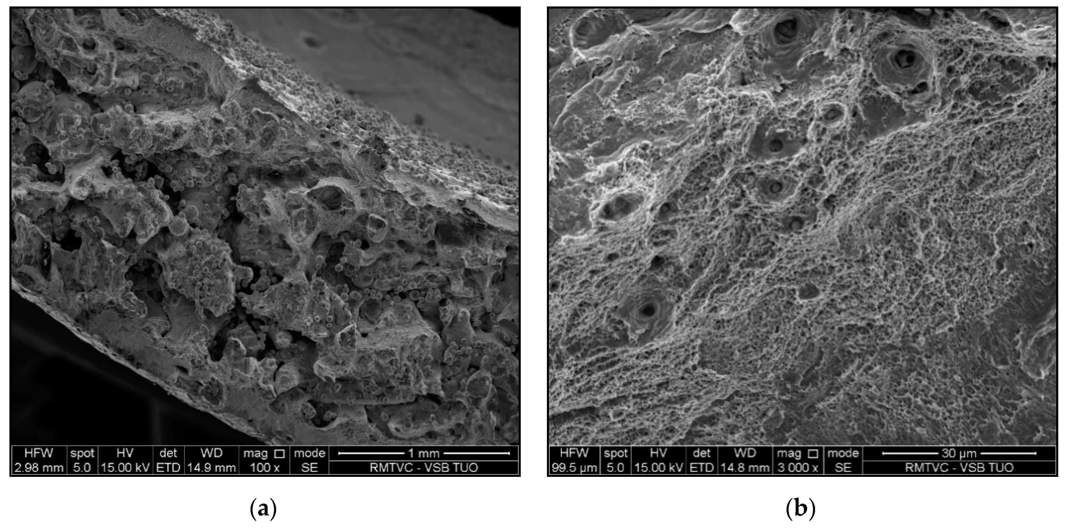 Materials 13 04362 g014a Materials 13 04362 g014a