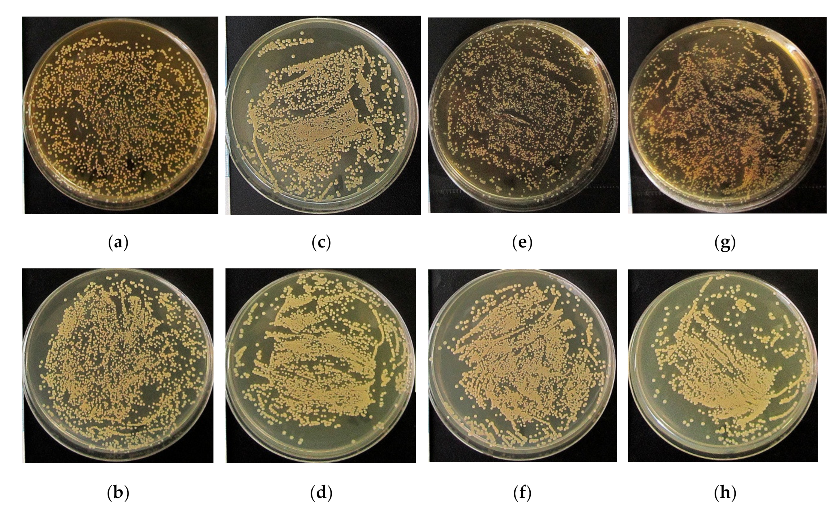 Materials 13 04366 g006