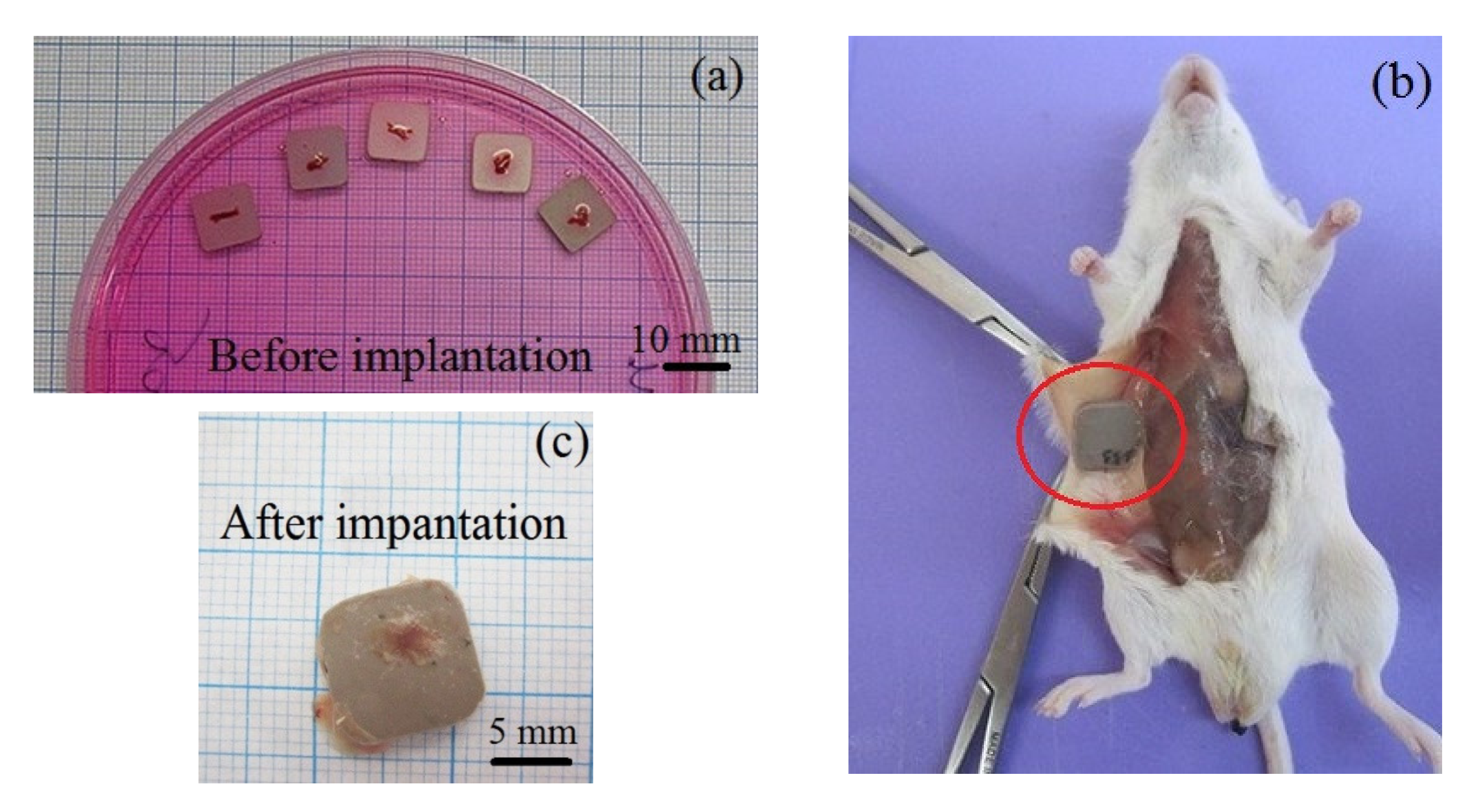 Materials 13 04366 g007